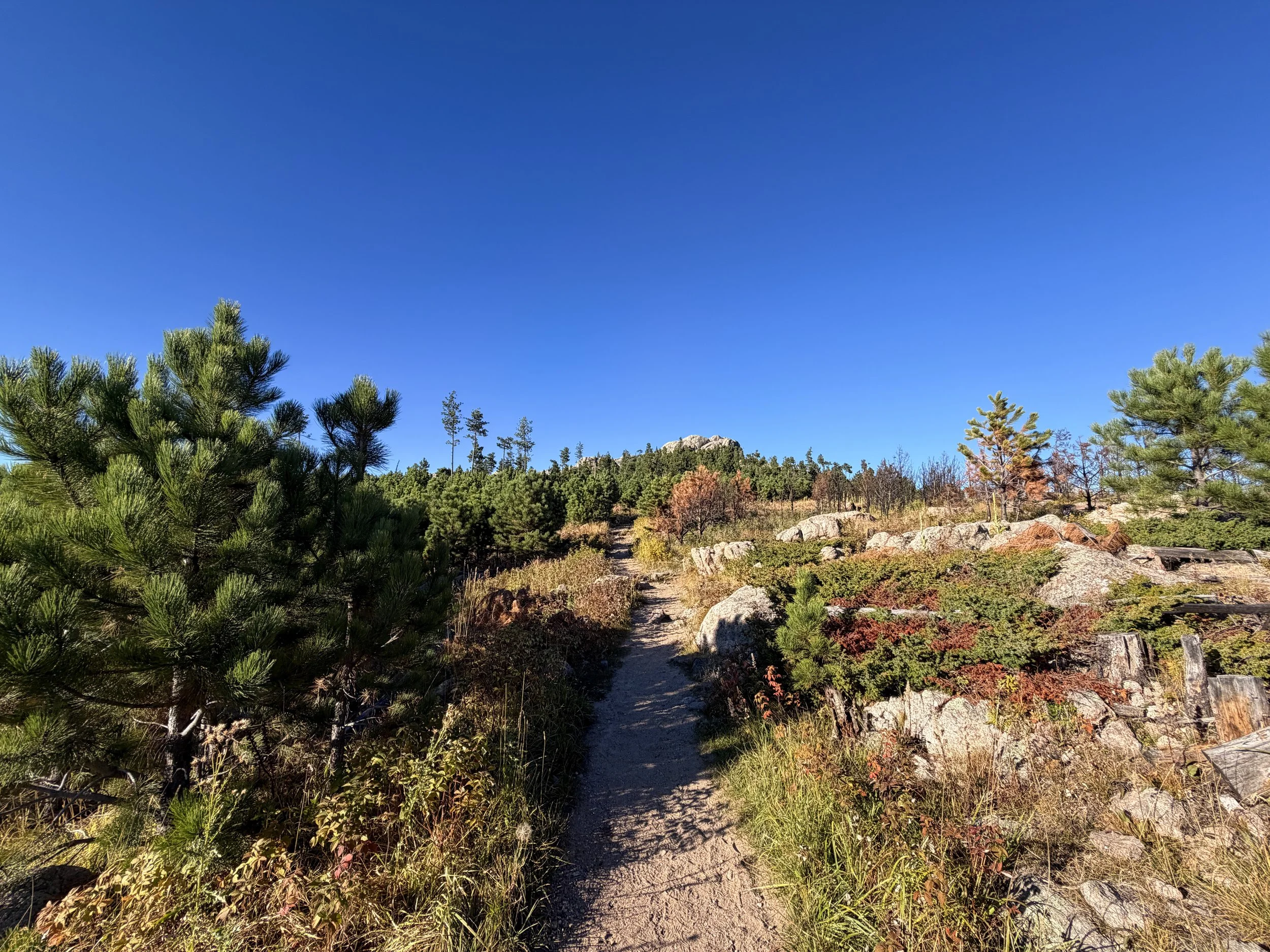 Little Devils Tower Hike Custer State Park Black Hills South Dakota
