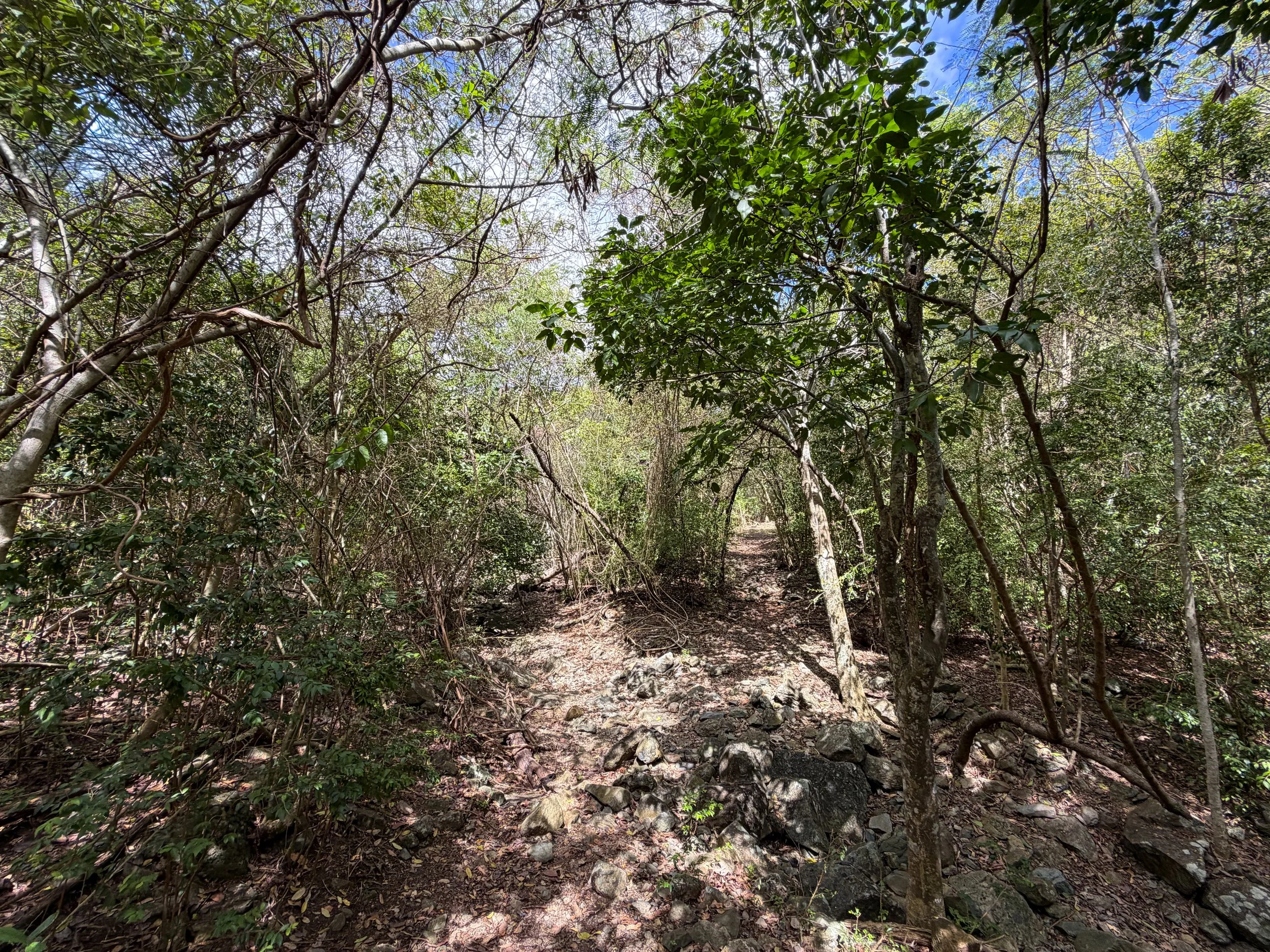 Brown Bay Trail to Johnny Horn Trail Virgin Islands National Park