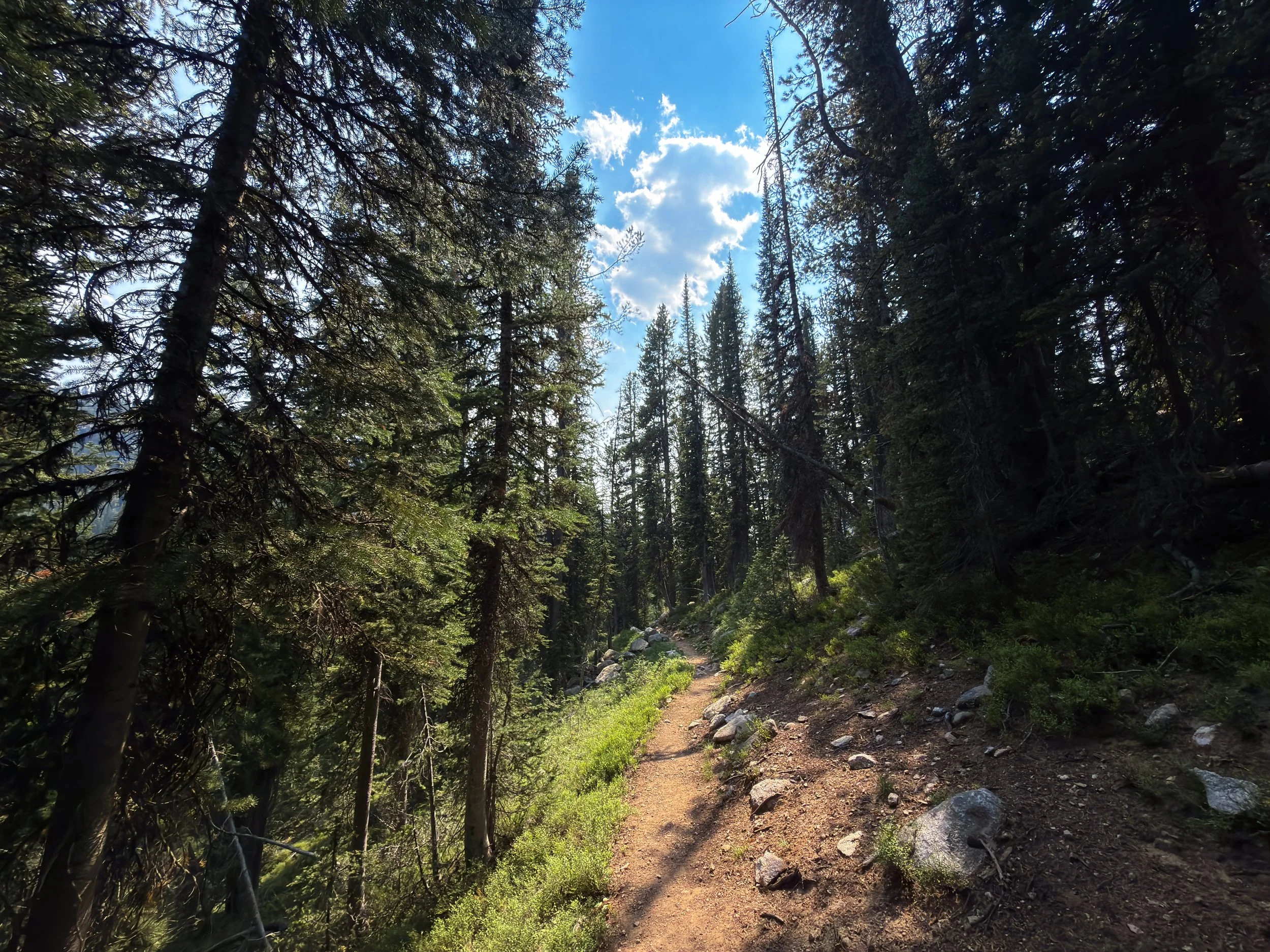Russell Creek Trail The Beaten Path Beartooth Mountains Montana