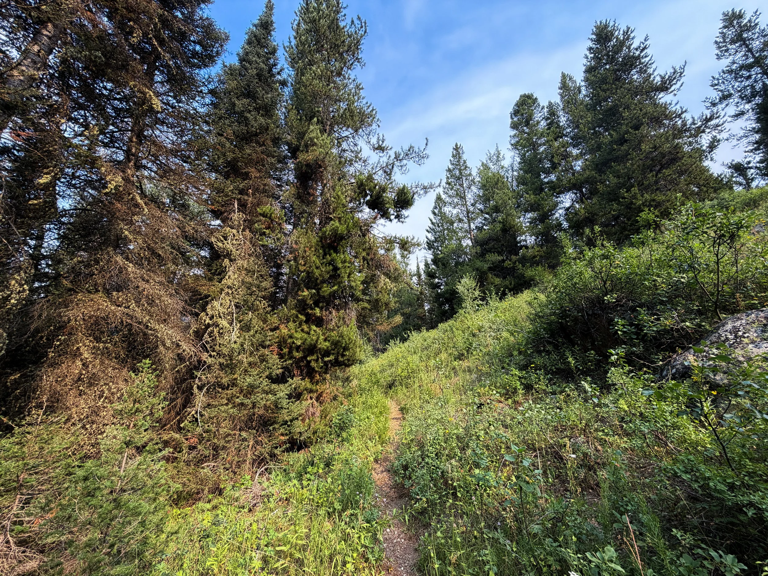 Boulder Aspen Ridge Loop Trail Grand Teton National Park Wyoming