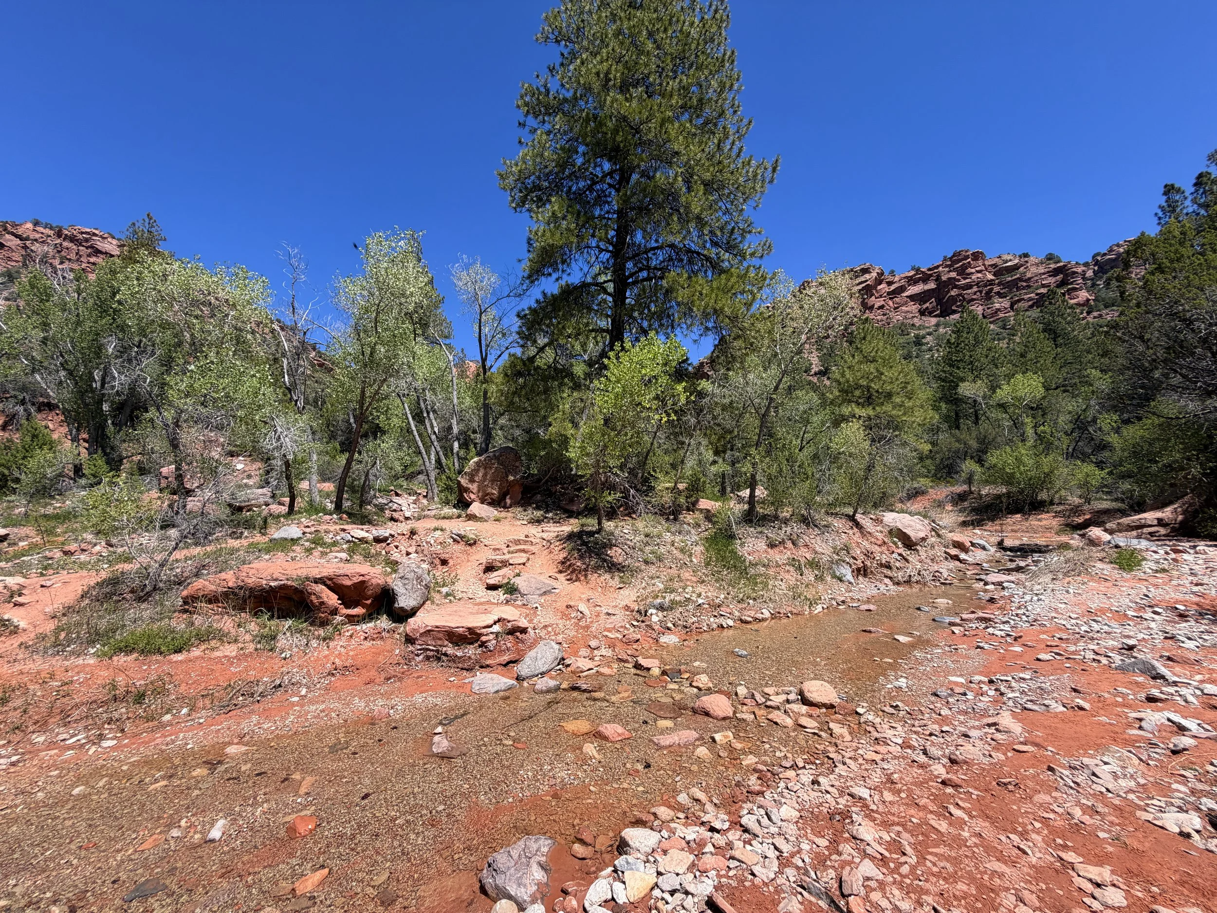 Taylor Creek Trail Zion National Park Utah