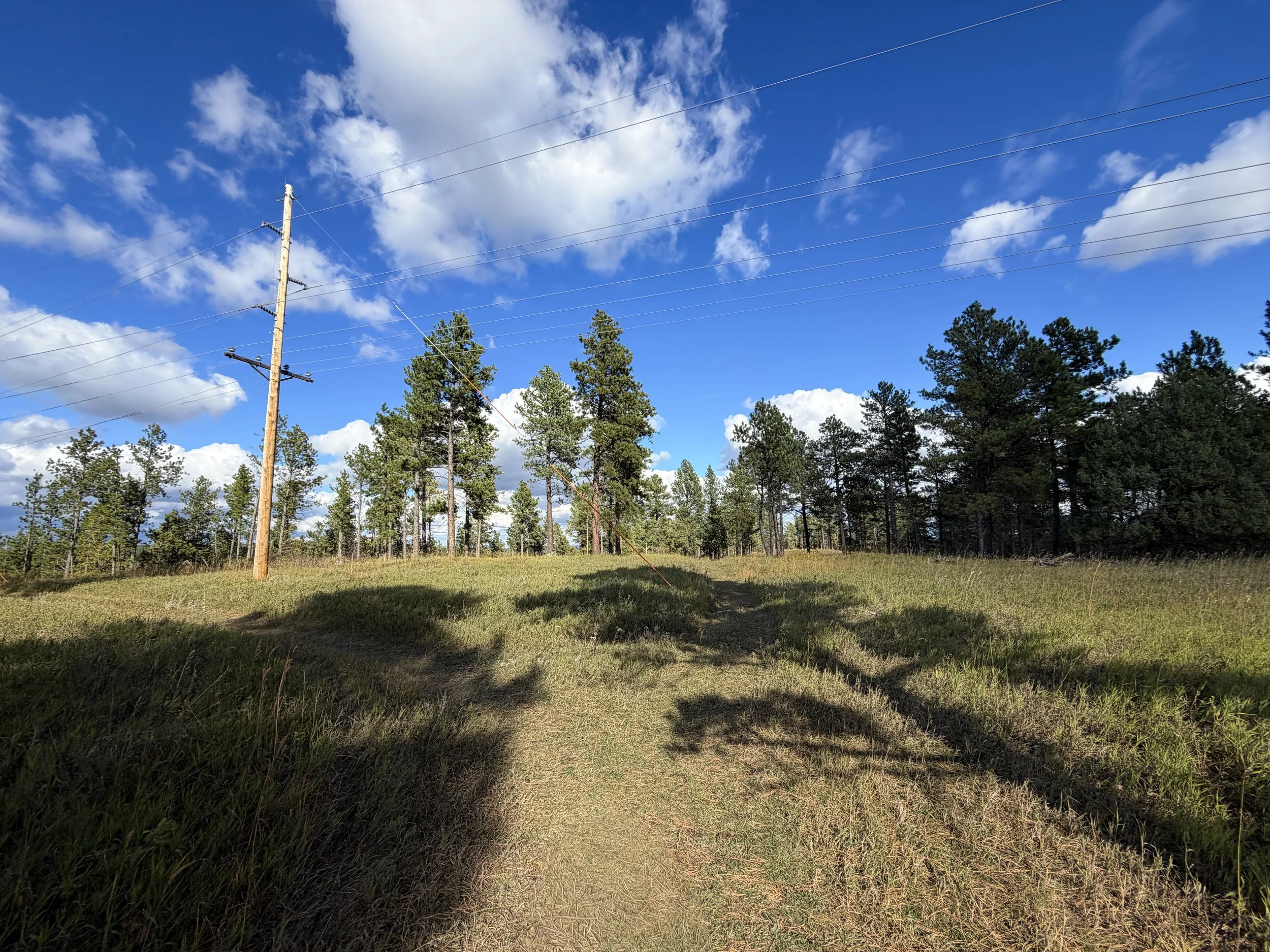 Stratobowl Rim Trail Black Hills South Dakota