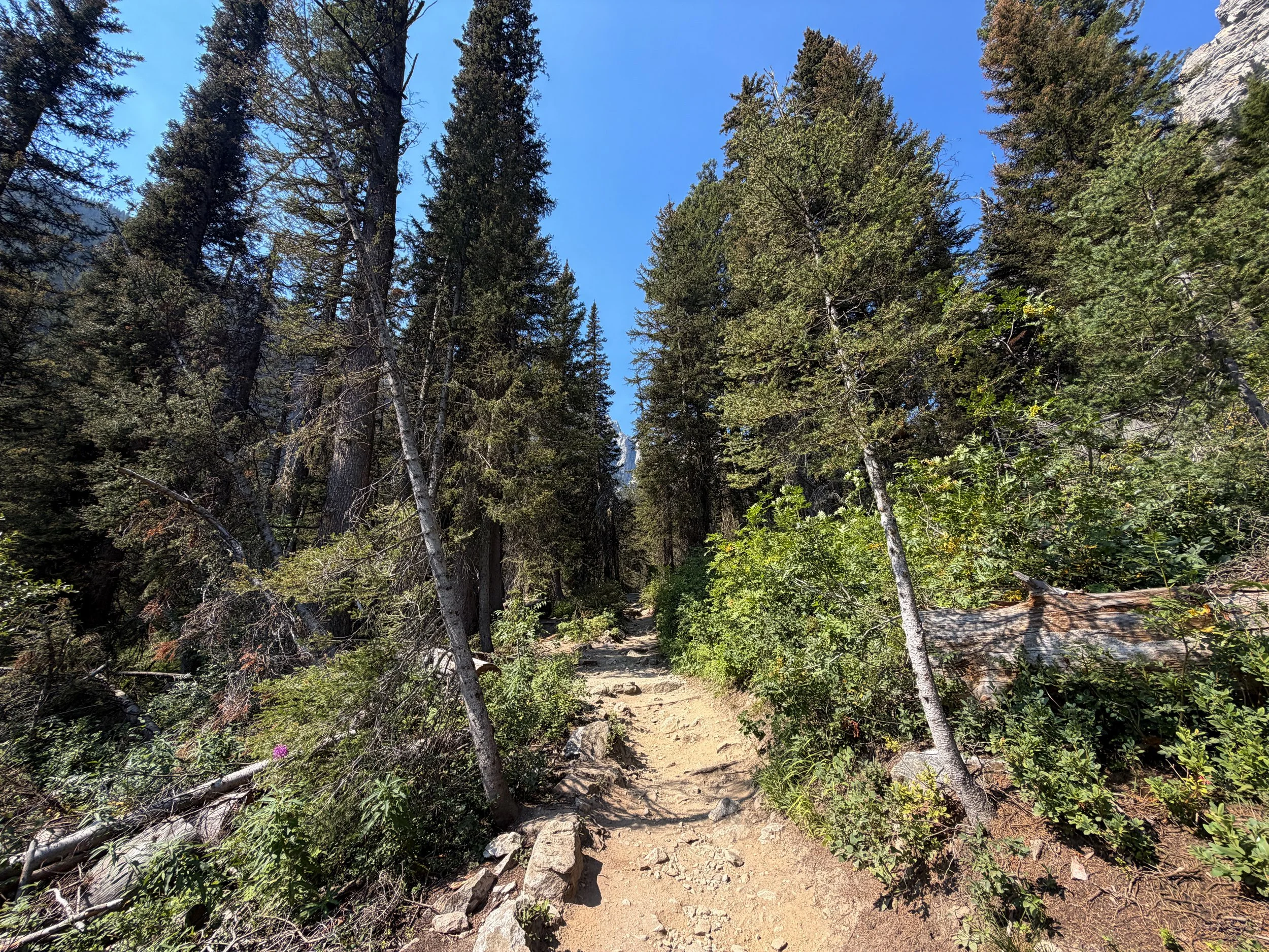 Cascade Canyon Trail Grand Teton National Park Wyoming