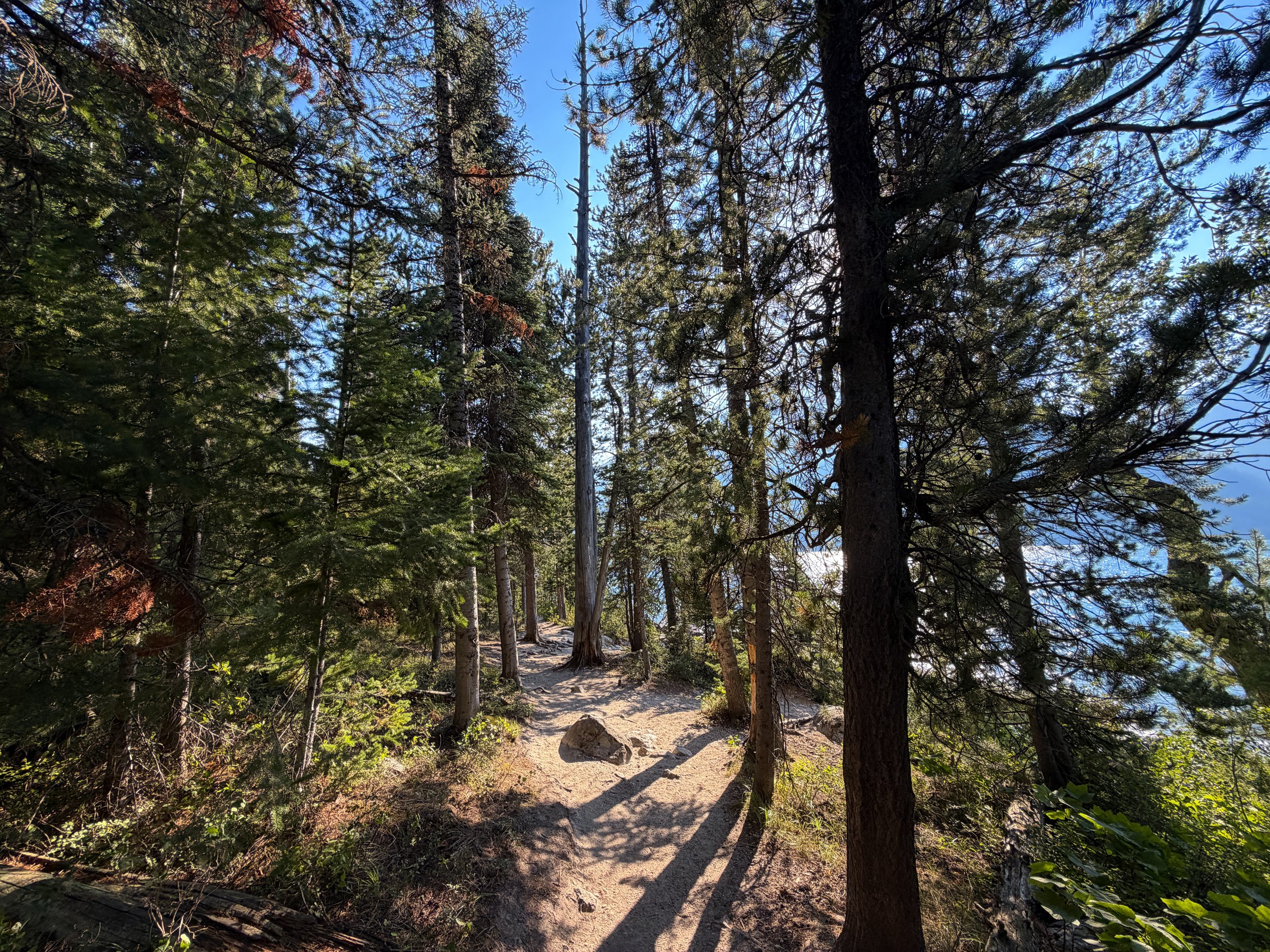 Jenny Lake Loop Trail Grand Teton National Park Wyoming