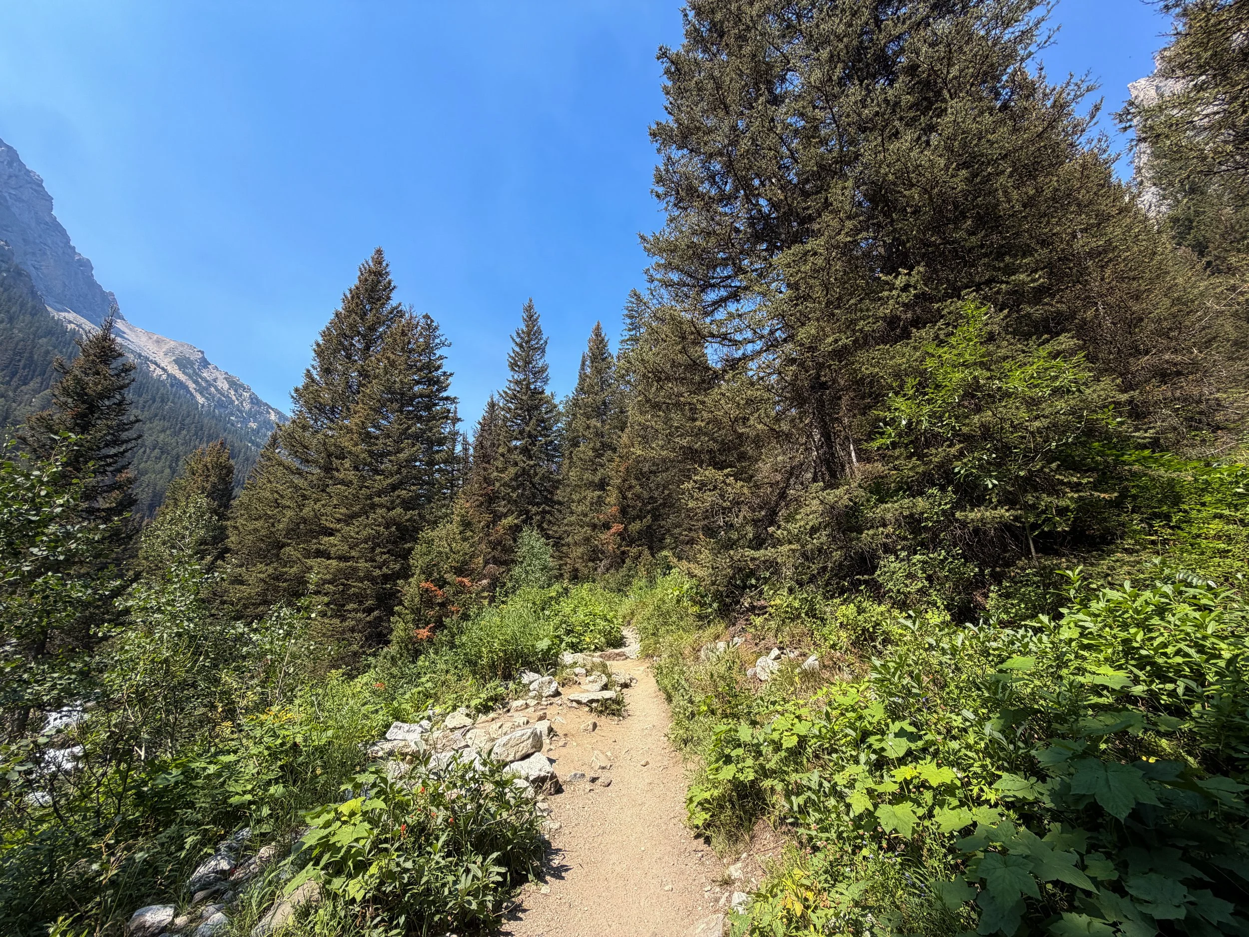 Cascade Canyon Trail Grand Teton National Park Wyoming