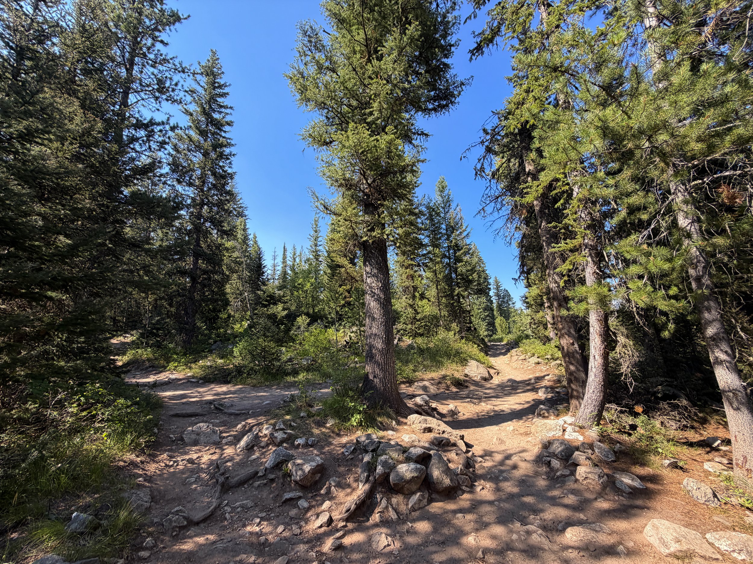 Jenny Lake Loop Hike Grand Teton National Park Wyoming