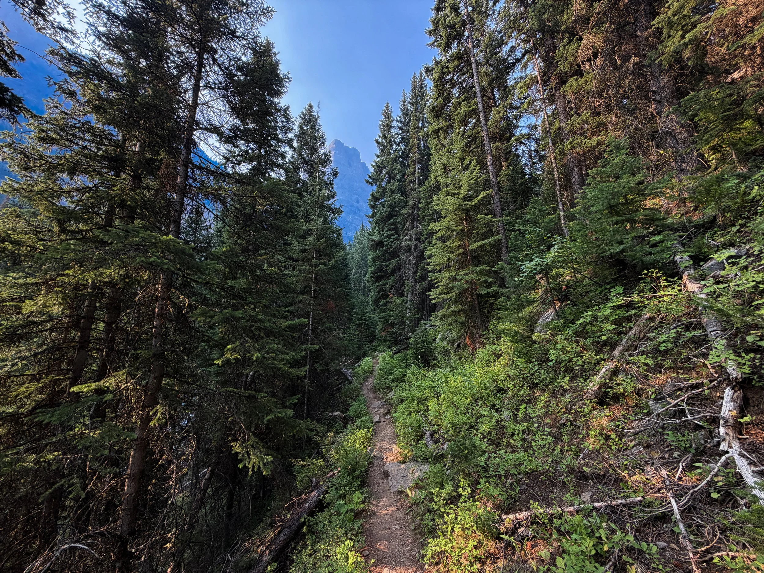 Beaten Path Trail Beartooth Mountains Montana