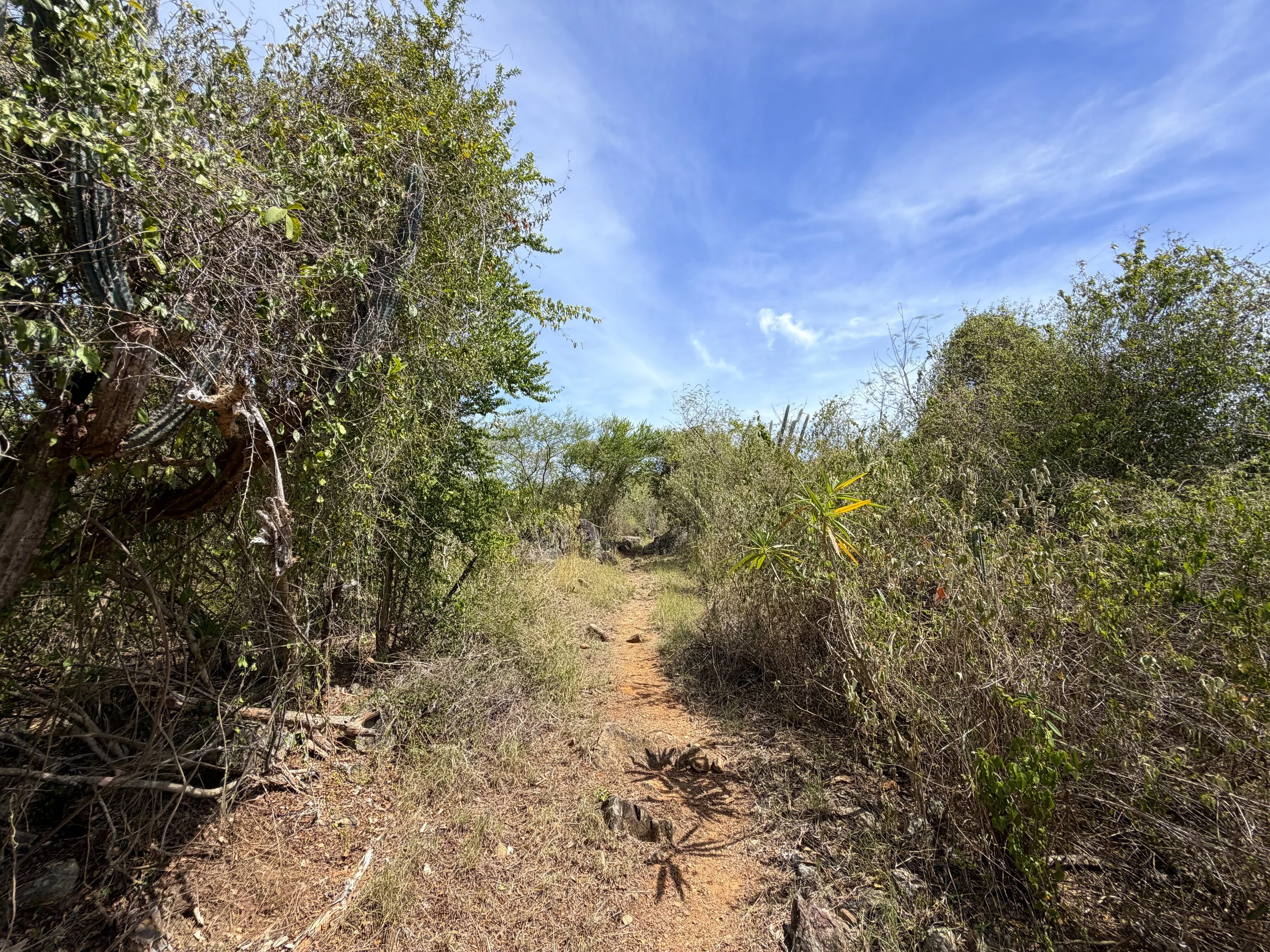 Yawzi Point Trail Virgin Islands National Park