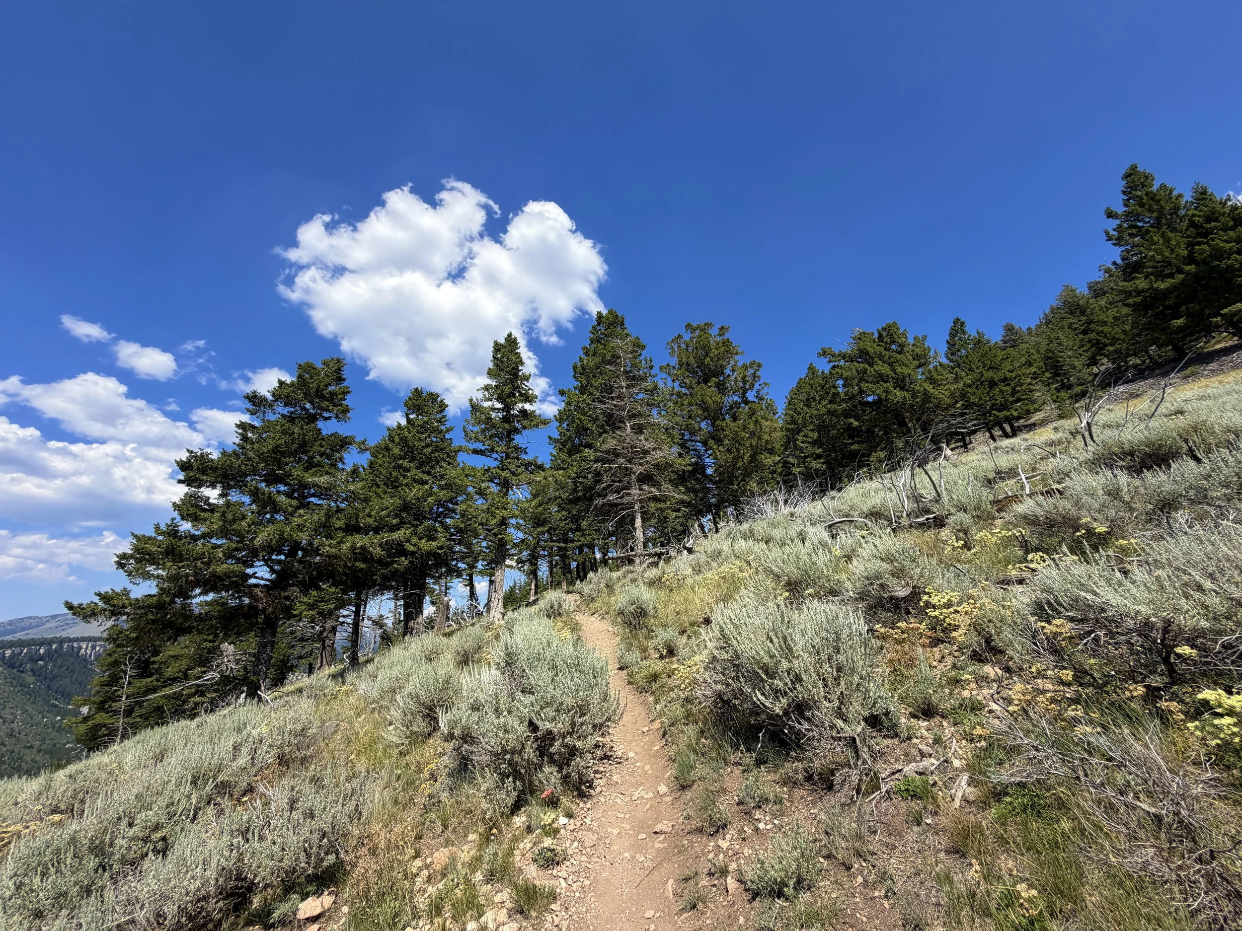 Bunsen Peak Hike Yellowstone National Park Wyoming