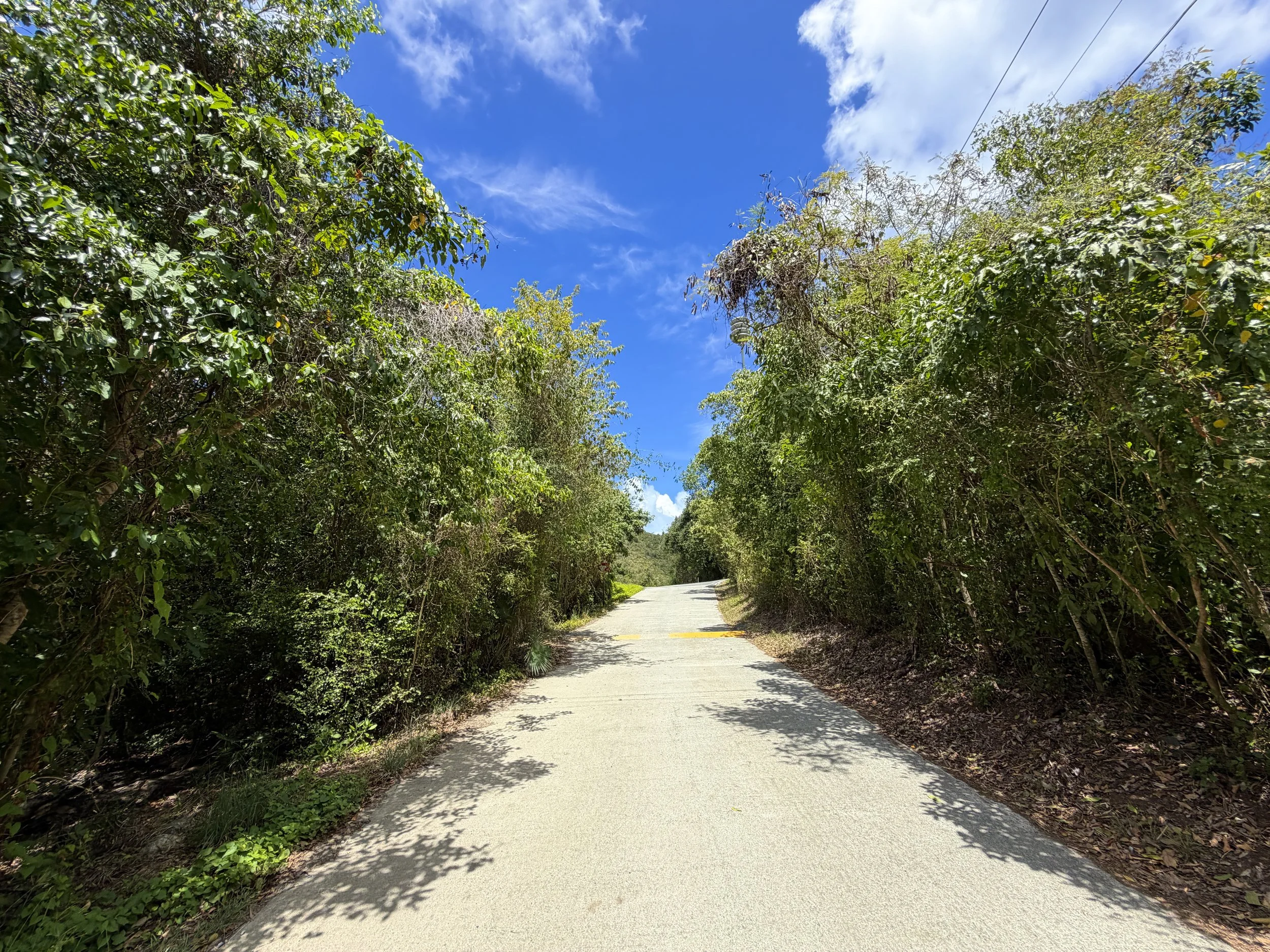 Francis Bay Trail Virgin Islands National Park
