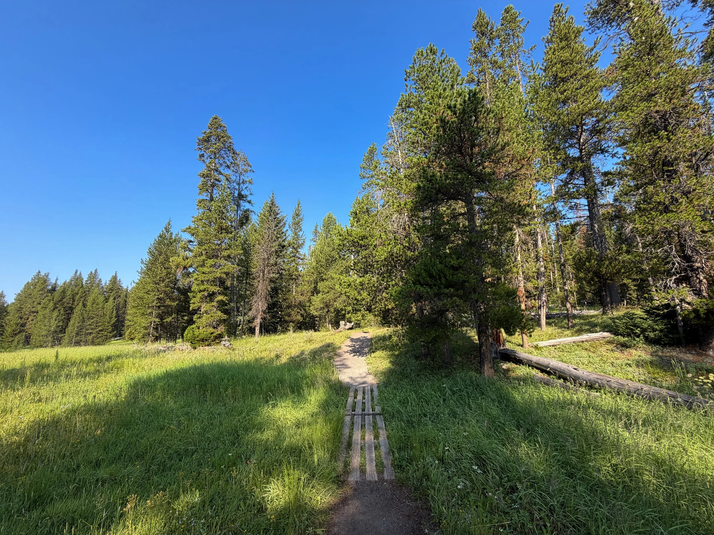 Natural Bridge Trail Yellowstone National Park Wyoming
