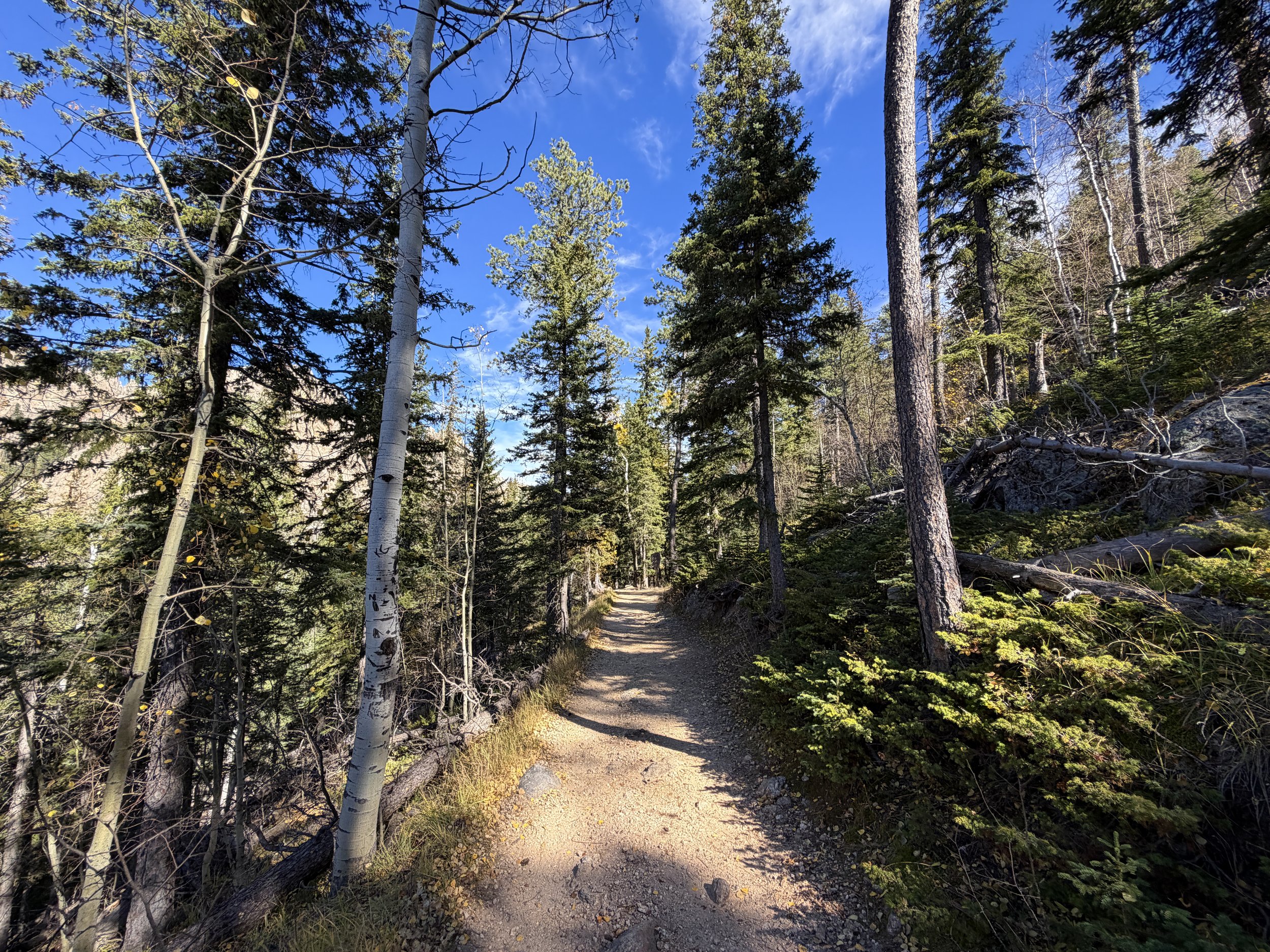 Black Elk Peak Trail Black Hills South Dakota
