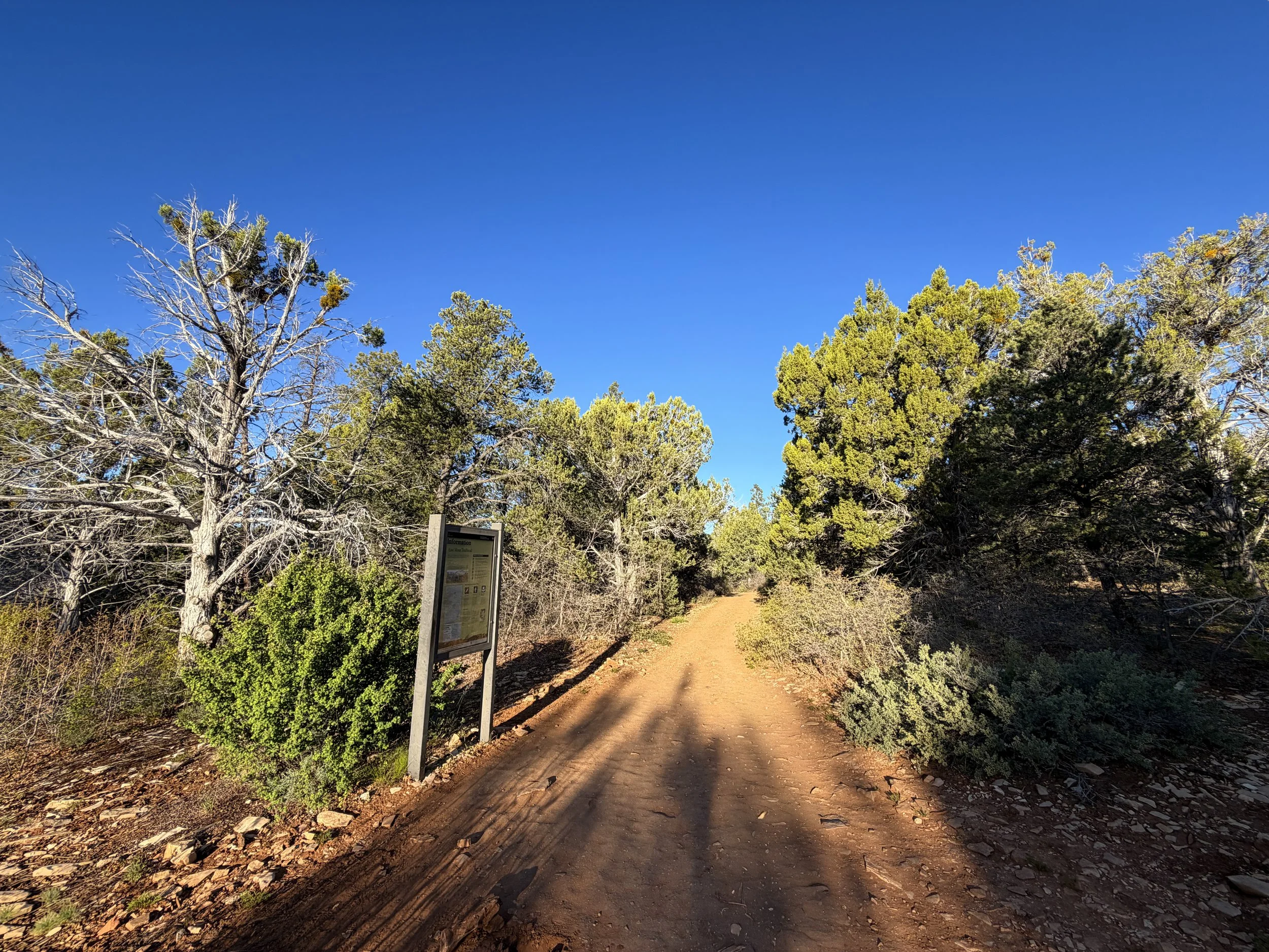 Observation Point Trailhead Zion National Park Utah