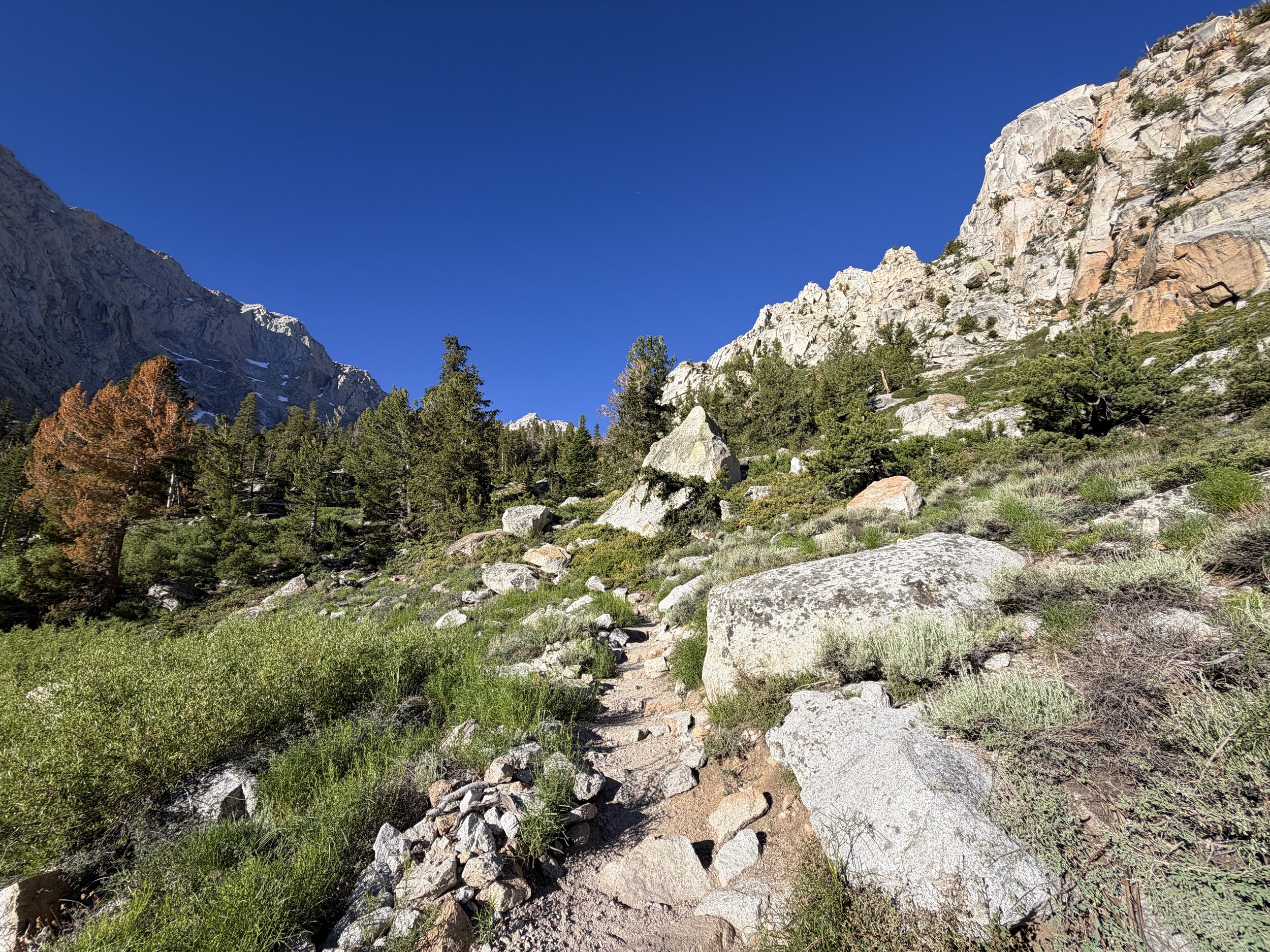 Mount Whitney Trail via Lone Pine California