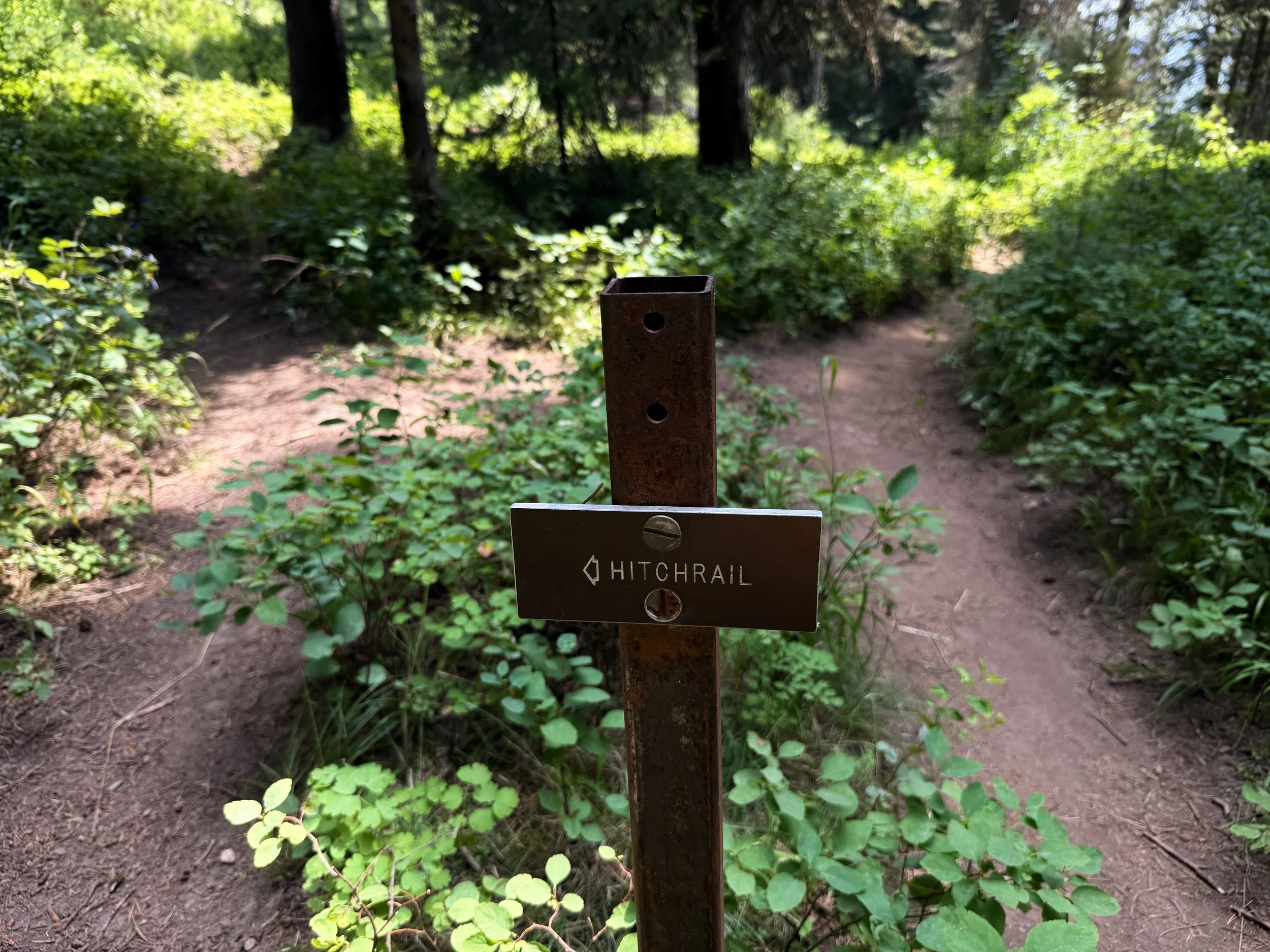 Phelps Lake Loop Trail Grand Teton National Park Wyoming