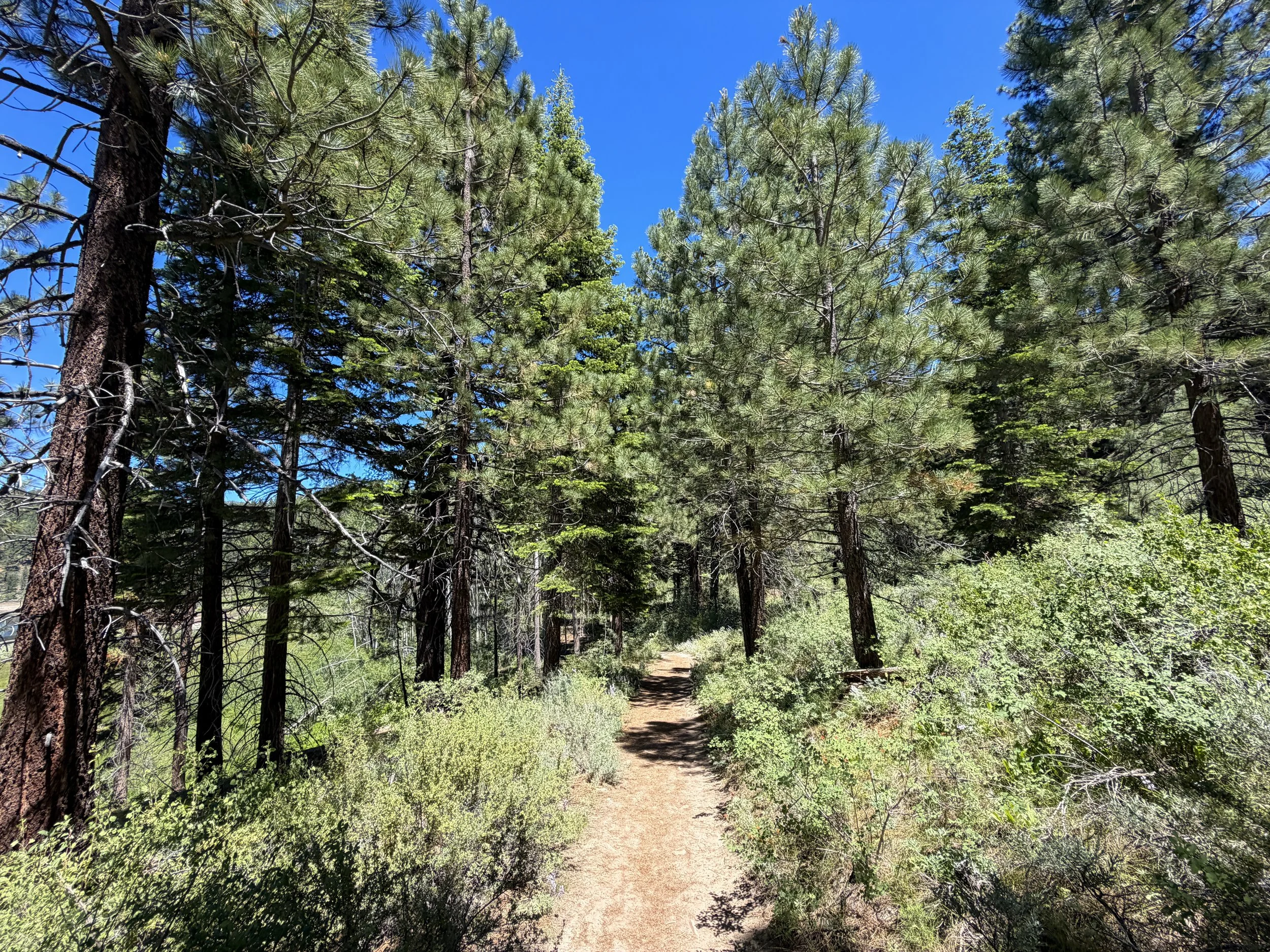 Spooner Lake Trail Lake Tahoe Nevada