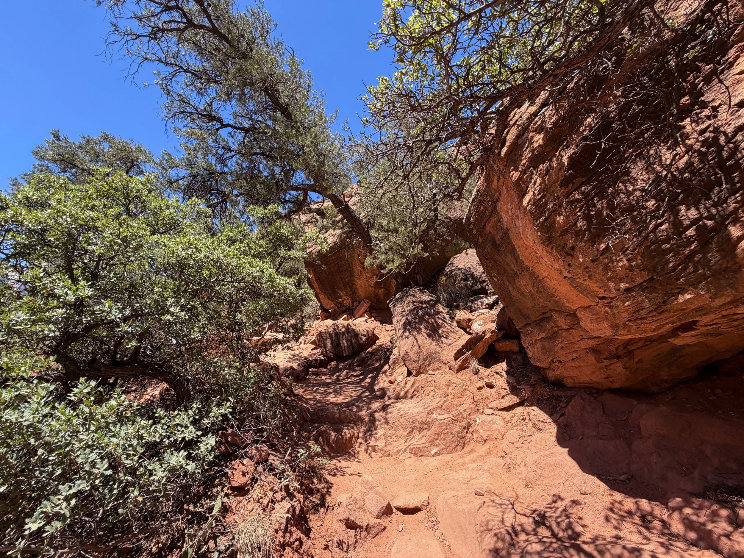 Watchman Trail Switchbacks Zion National Park Utah