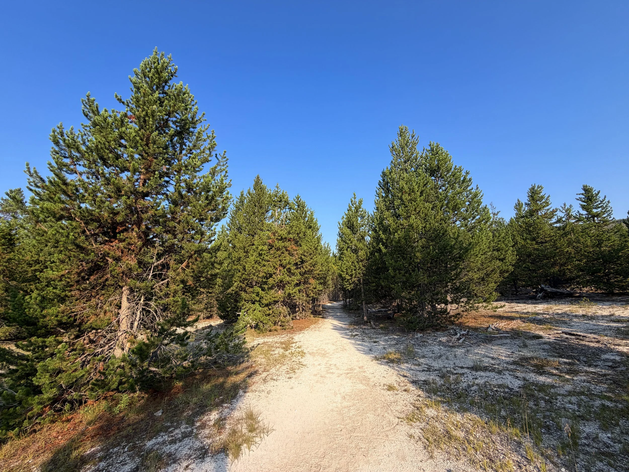 Mystic Falls Trail Yellowstone National Park Wyoming