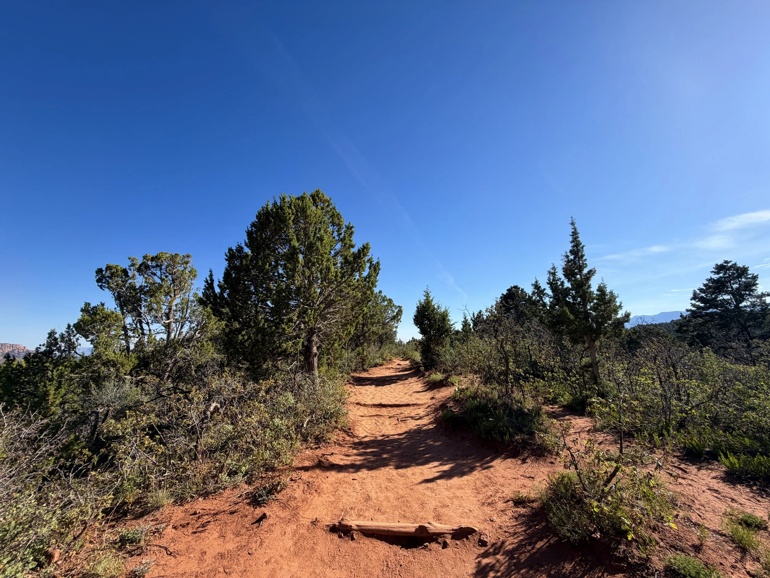 Timber Creek Overlook Trail Zion National Park Utah