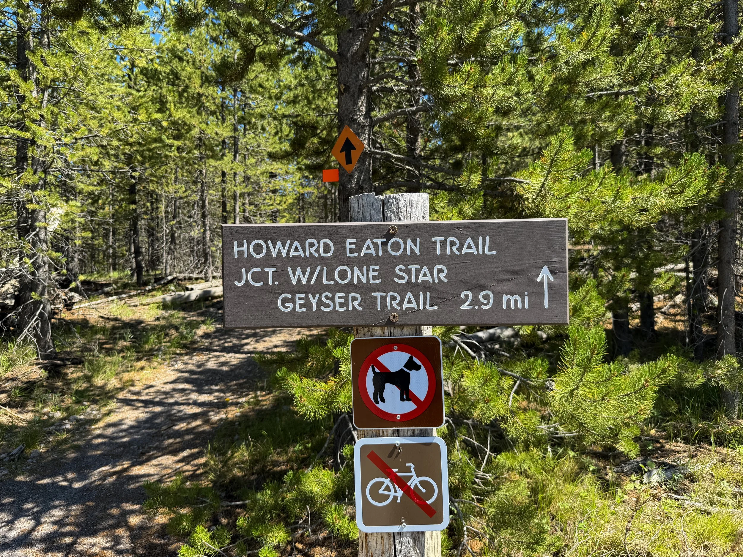 Howard Eaton Trailhead Fern Cascade Loop Trail Yellowstone National Park Wyoming