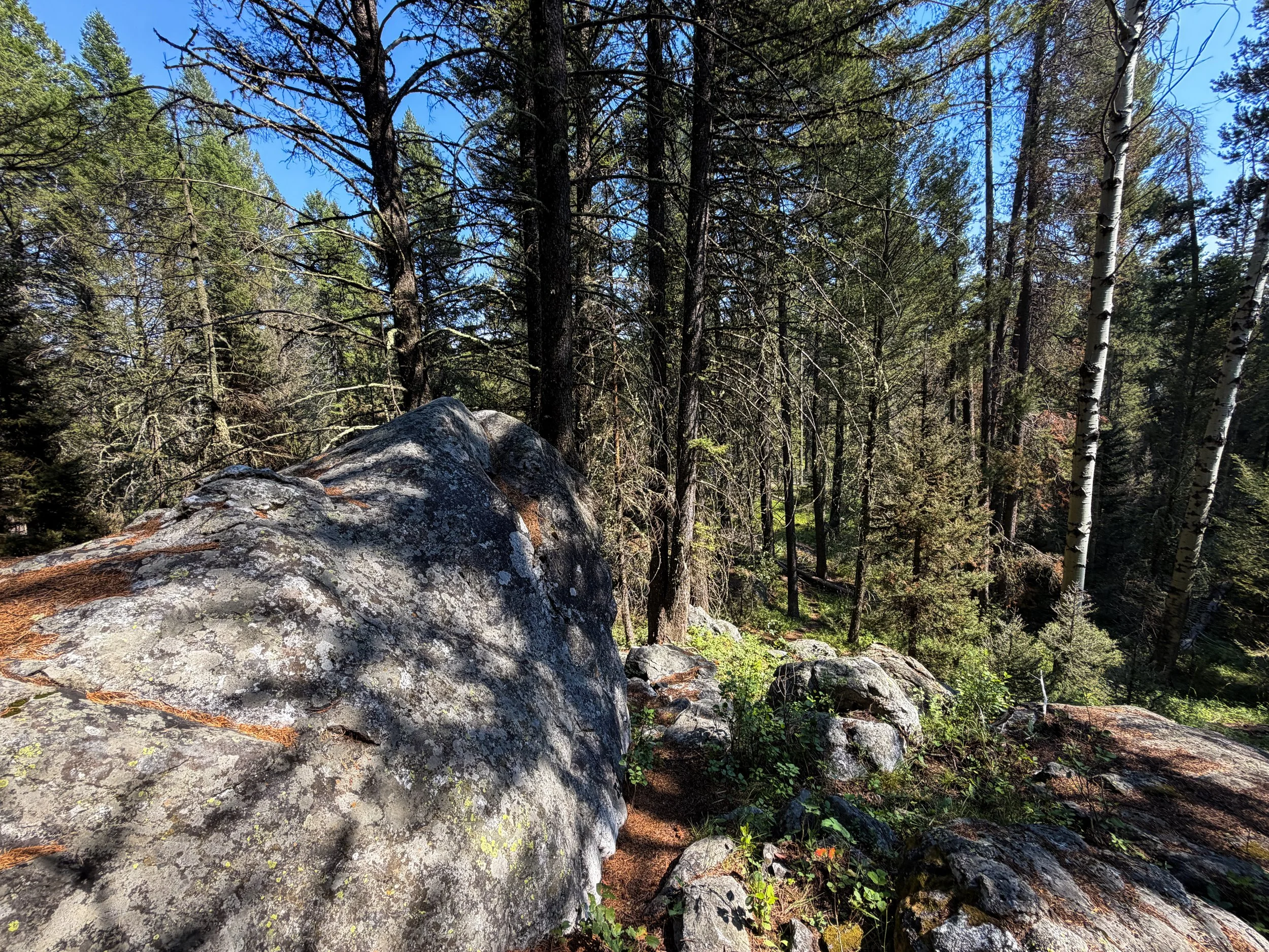 Boulder Field Trail Grand Teton National Park Wyoming