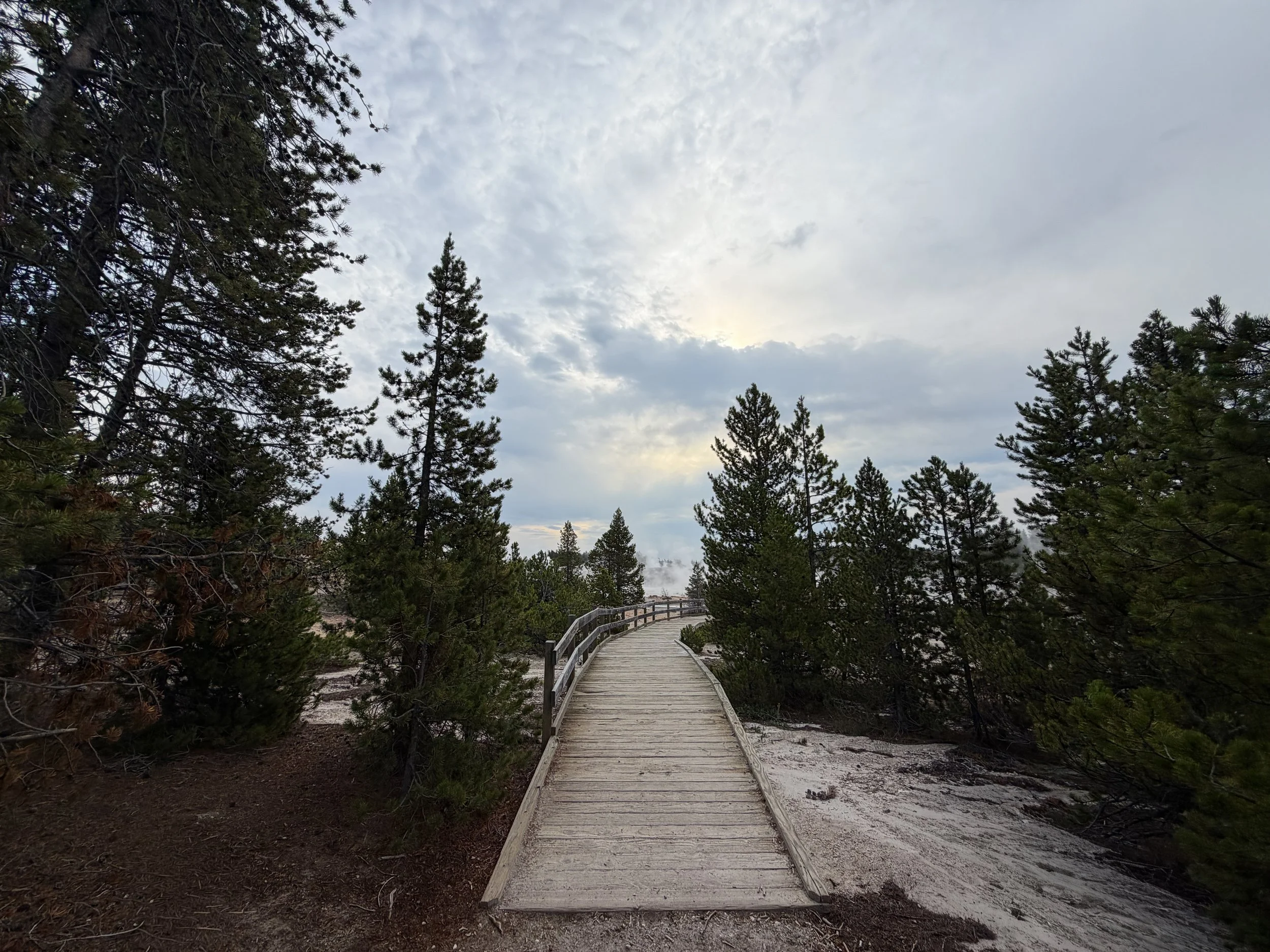 Porcelain Basin Boardwalk Trail Yellowstone National Park Wyoming