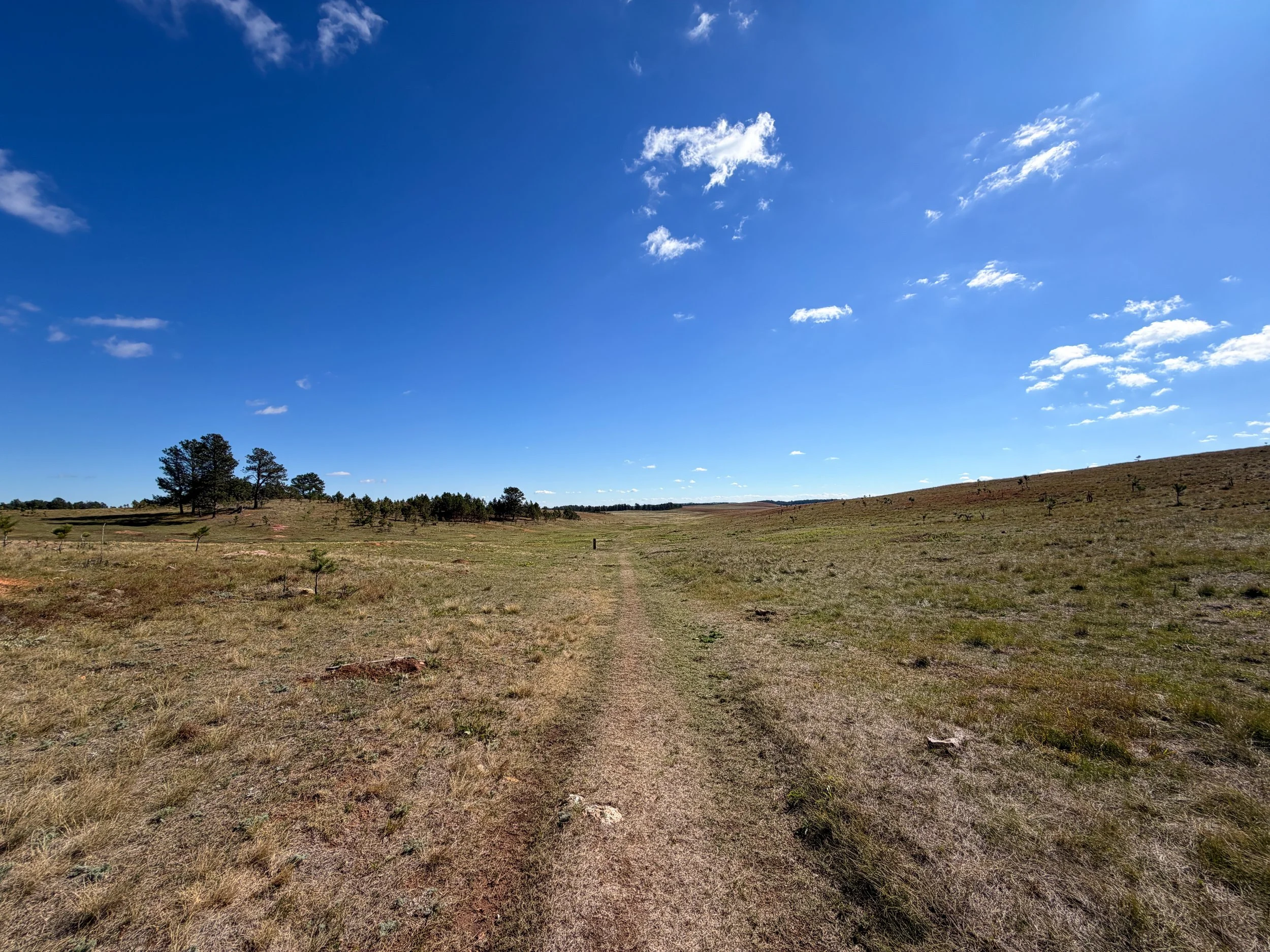 Lookout Point Hike Wind Cave National Park South Dakota
