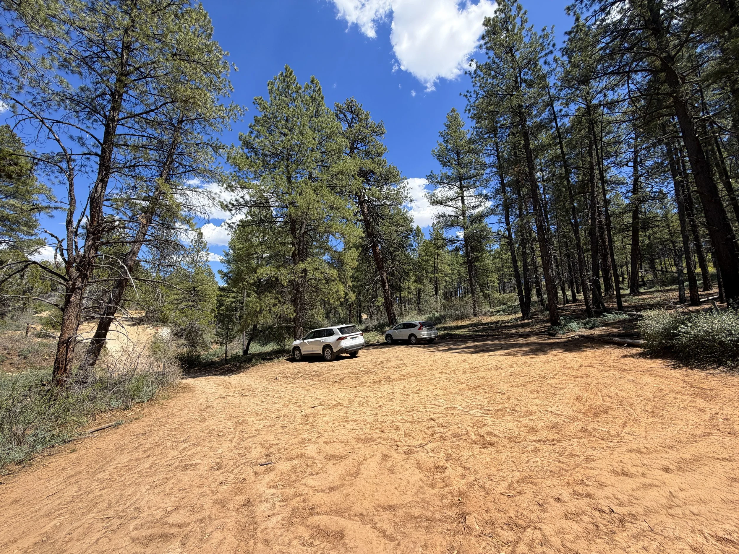 Stave Spring Trailhead Parking Zion National Park Utah