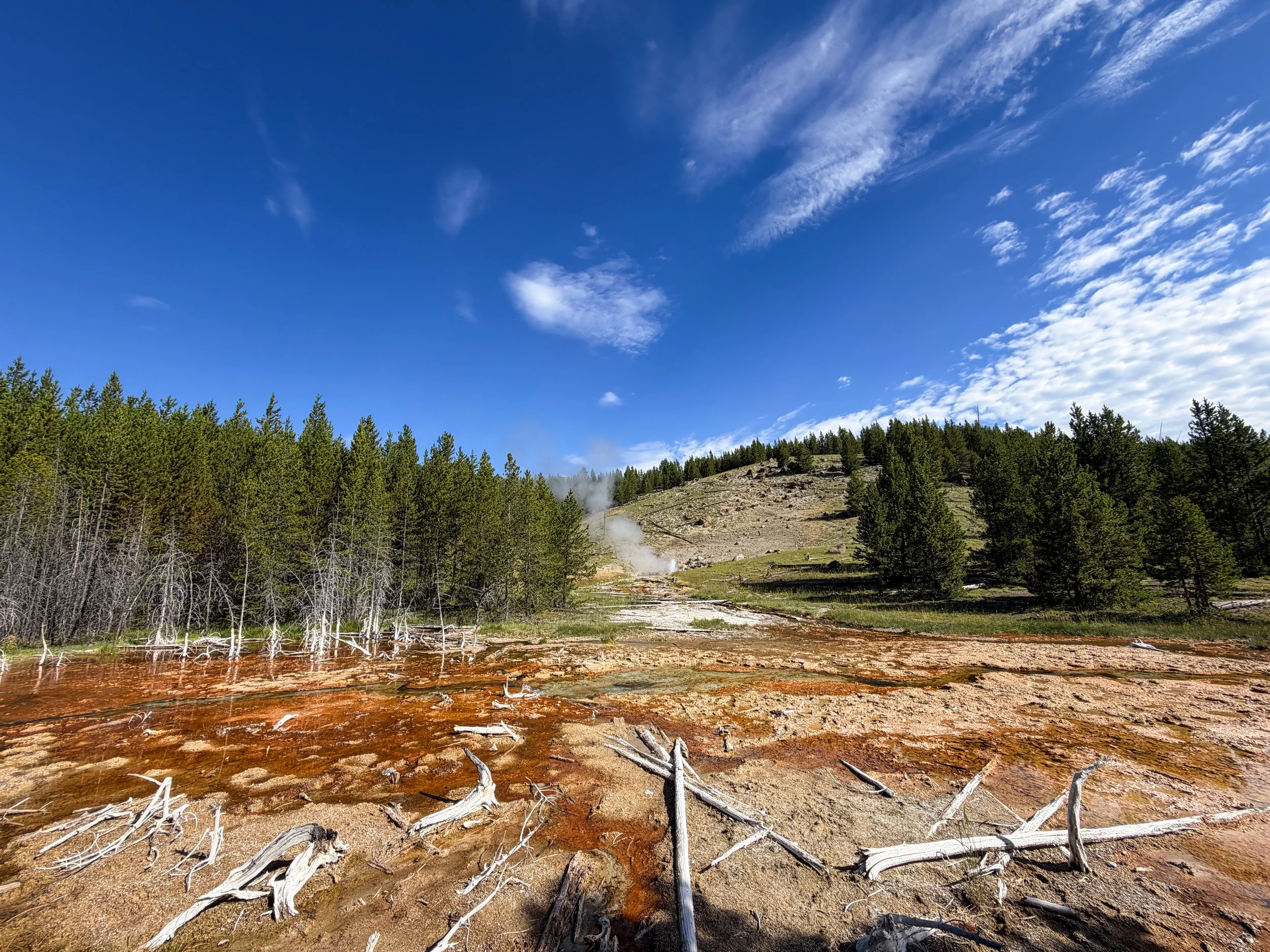 Spray Geyser Yellowstone National Park Wyoming