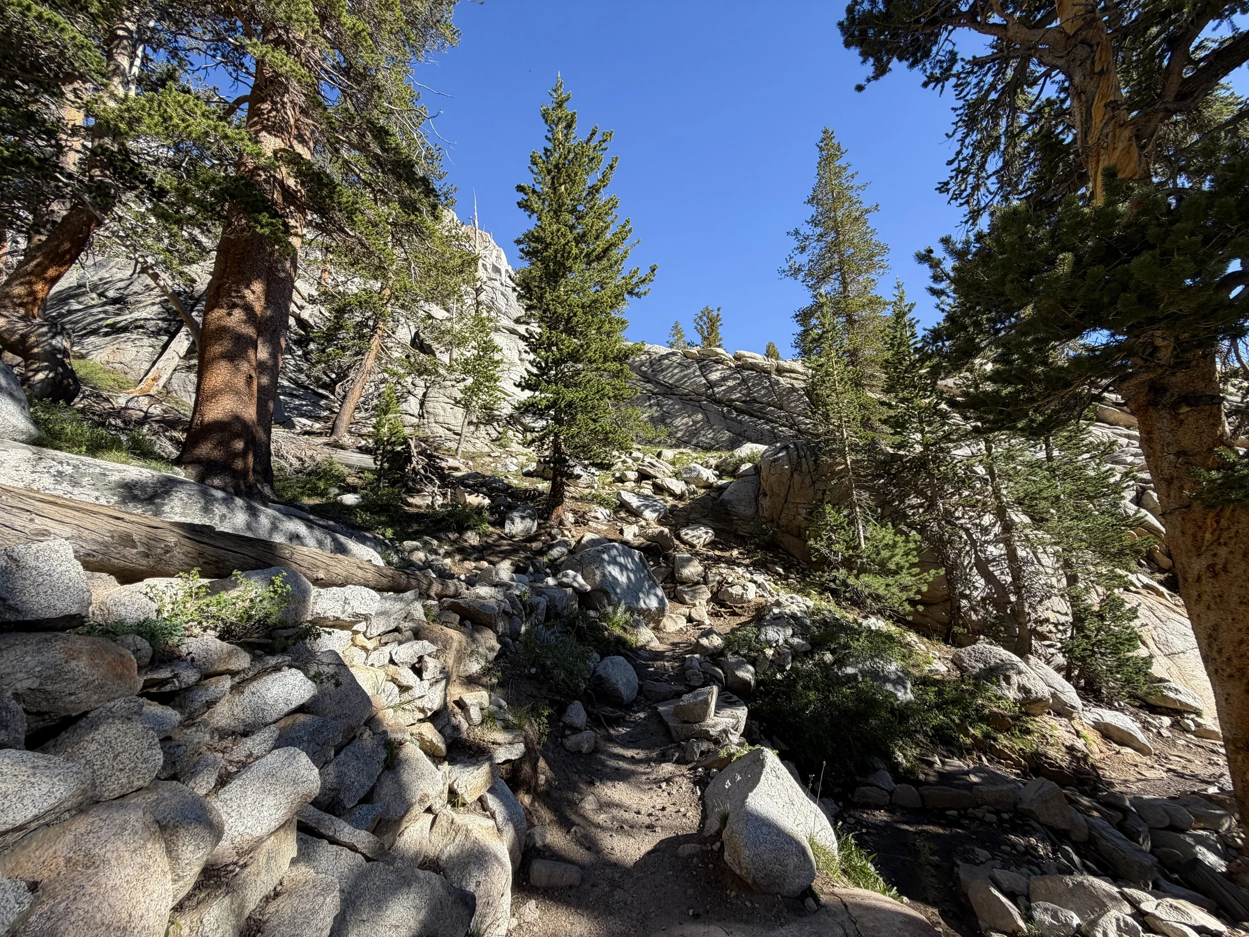 Mount Whitney Trail California