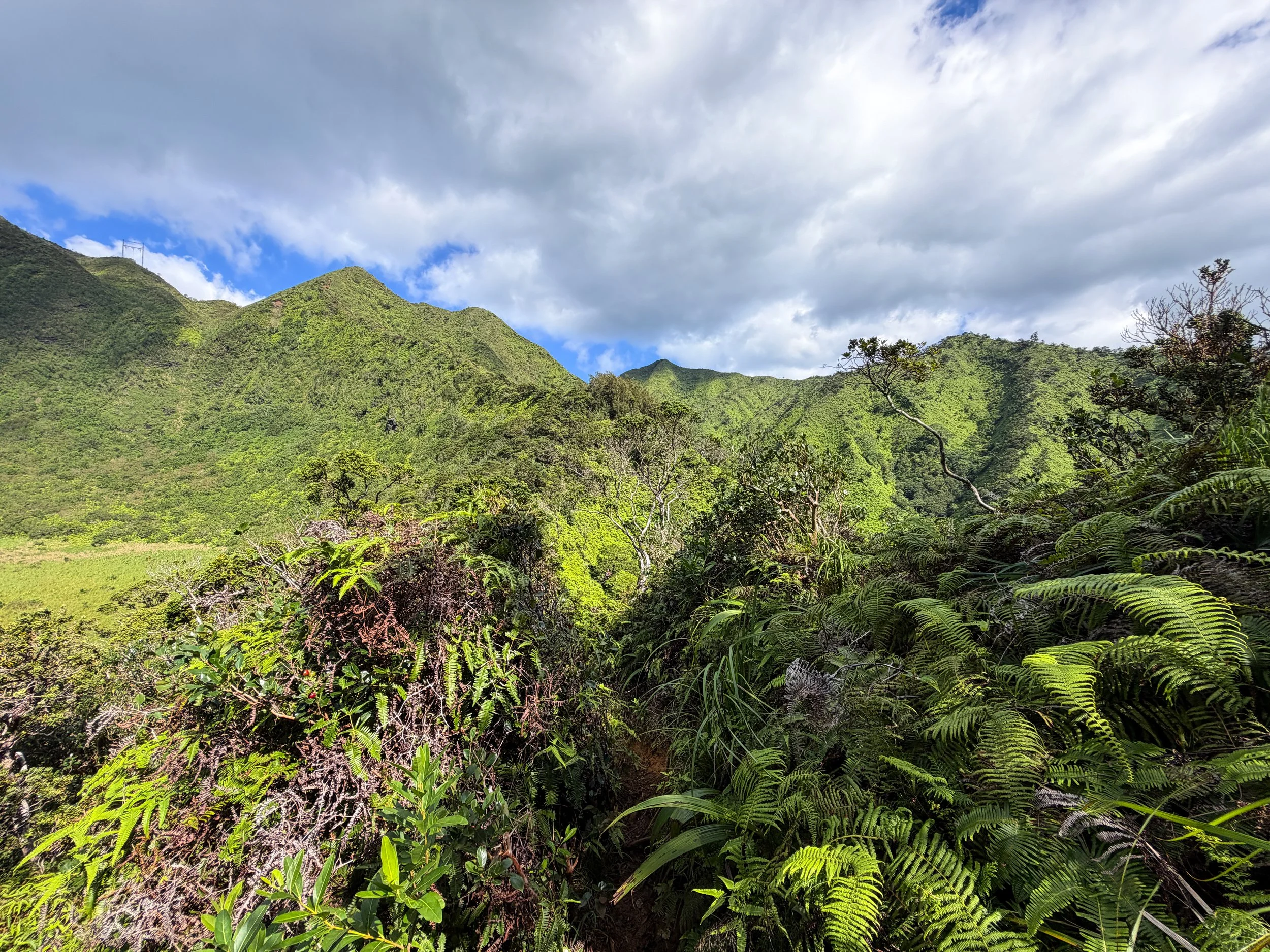Kaau Crater Loop Trail Oahu Hawaii