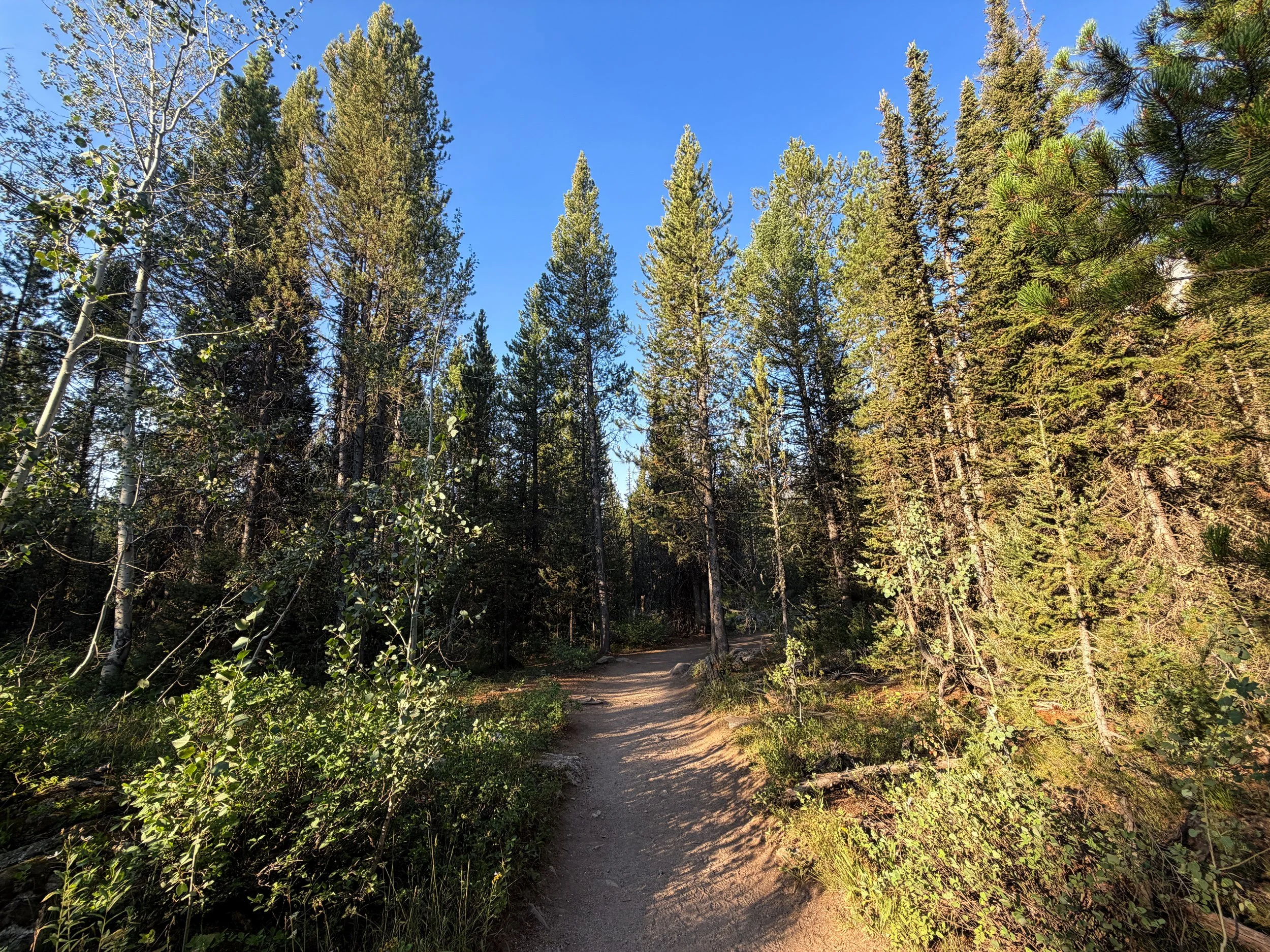 Hidden Falls via Jenny Lake Trail Grand Teton National Park Wyoming