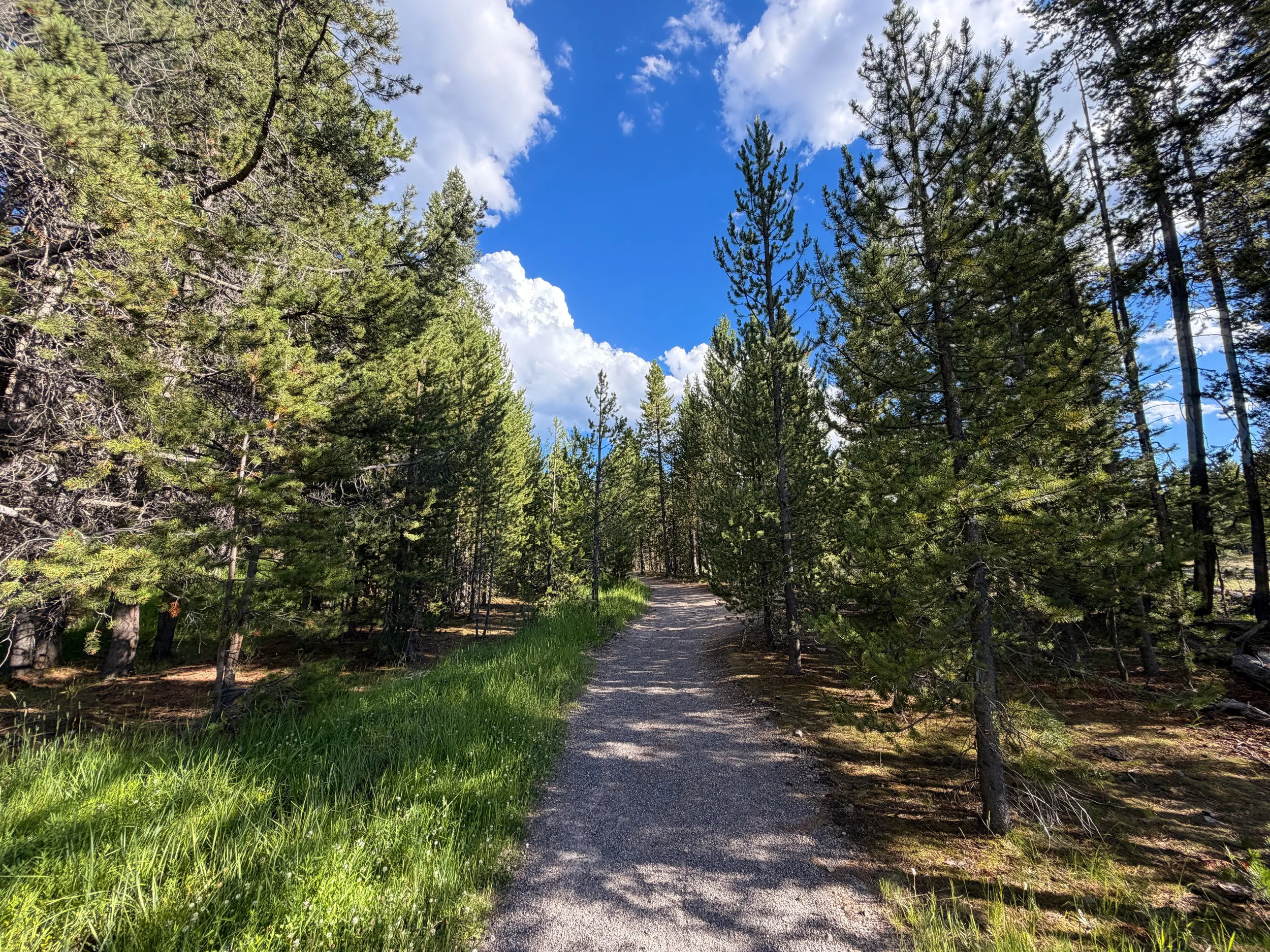 Artemisia Trail to the Morning Glory Pool Yellowstone National Park Wyoming