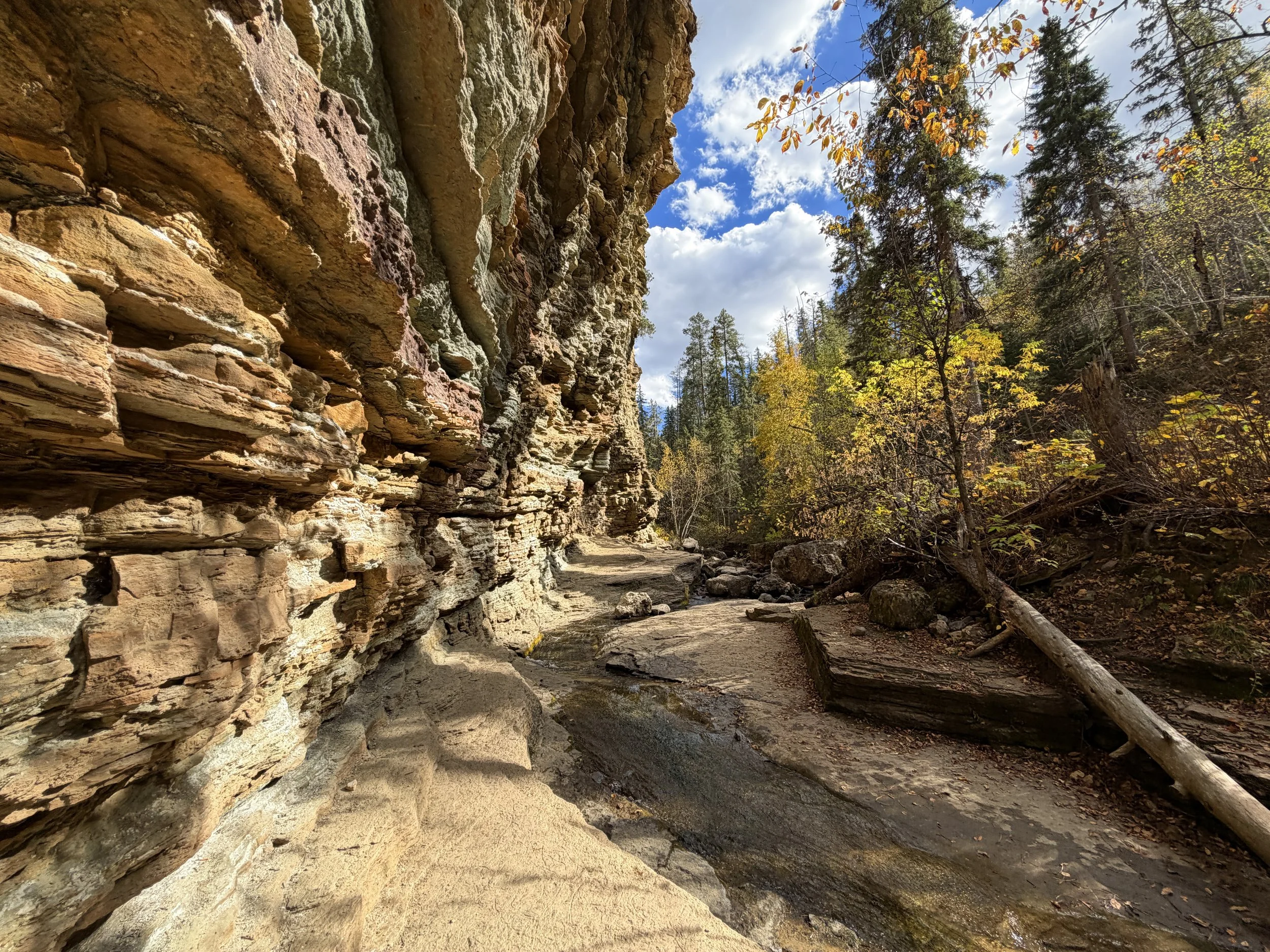 Devils Bathtub Trail Spearfish Canyon Black Hills South Dakota
