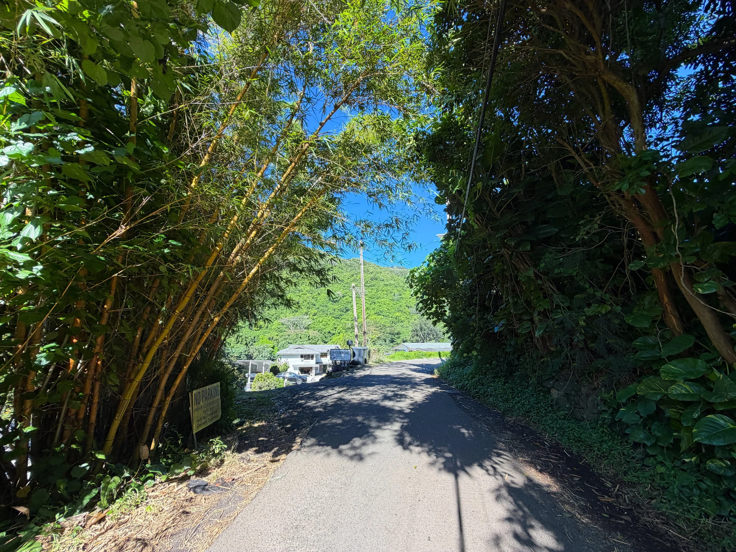 Walking to the Kaau Crater Trailhead Oahu Hawaii