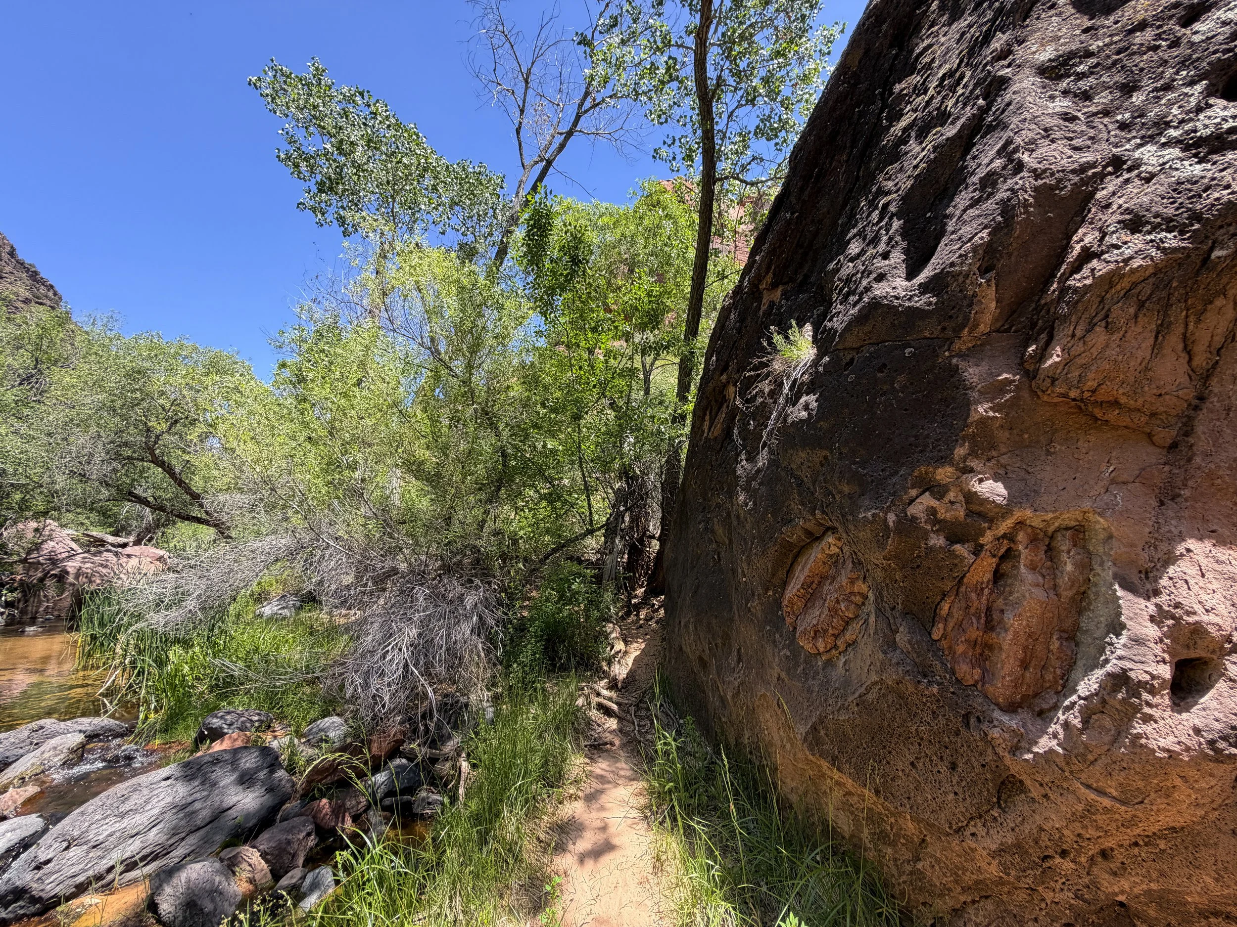 Grapevine Trail to Left Fork Falls Zion National Park Utah
