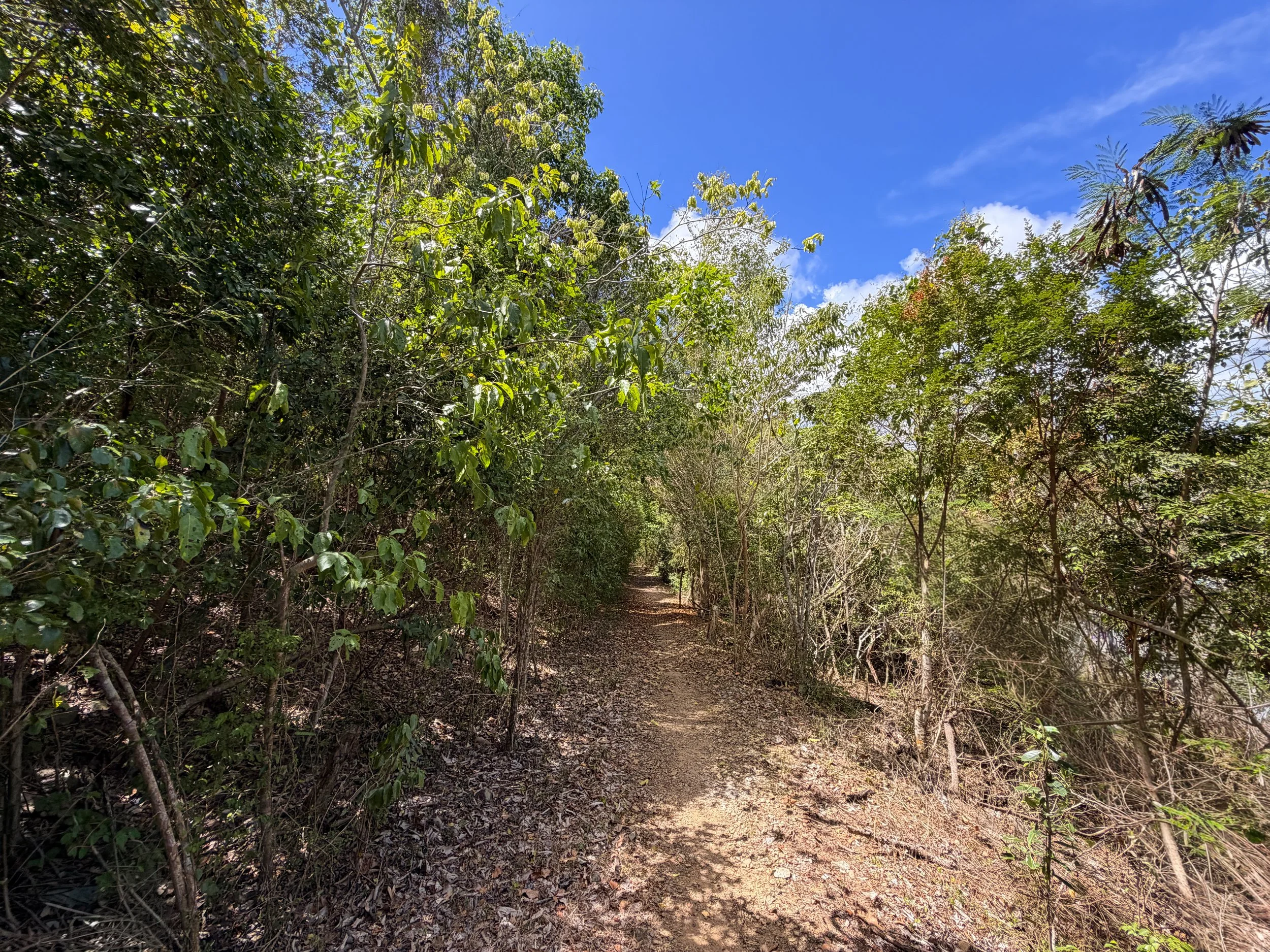 Brown Bay Hike Virgin Islands National Park