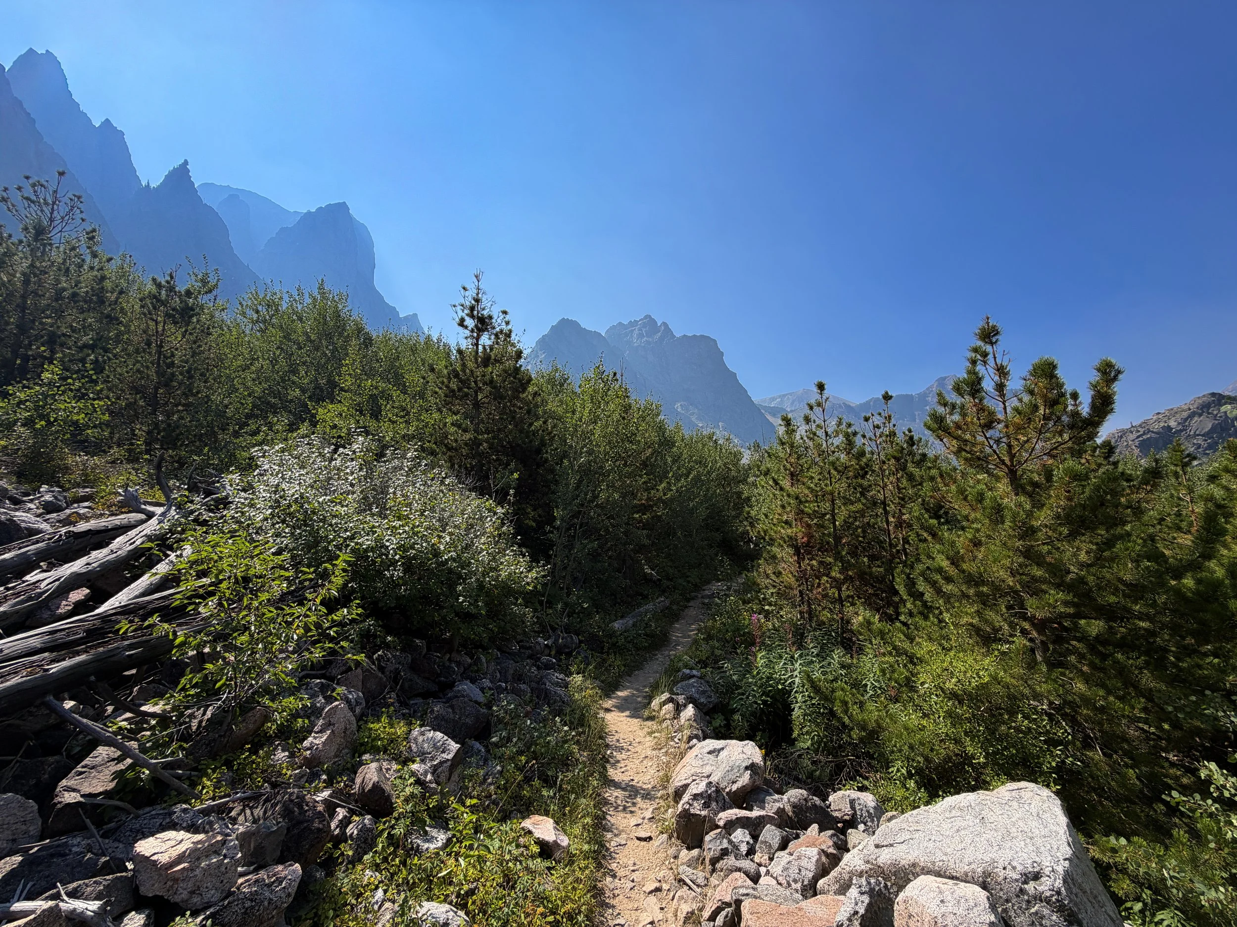 The Beaten Path Trail Beartooth Mountains Montana
