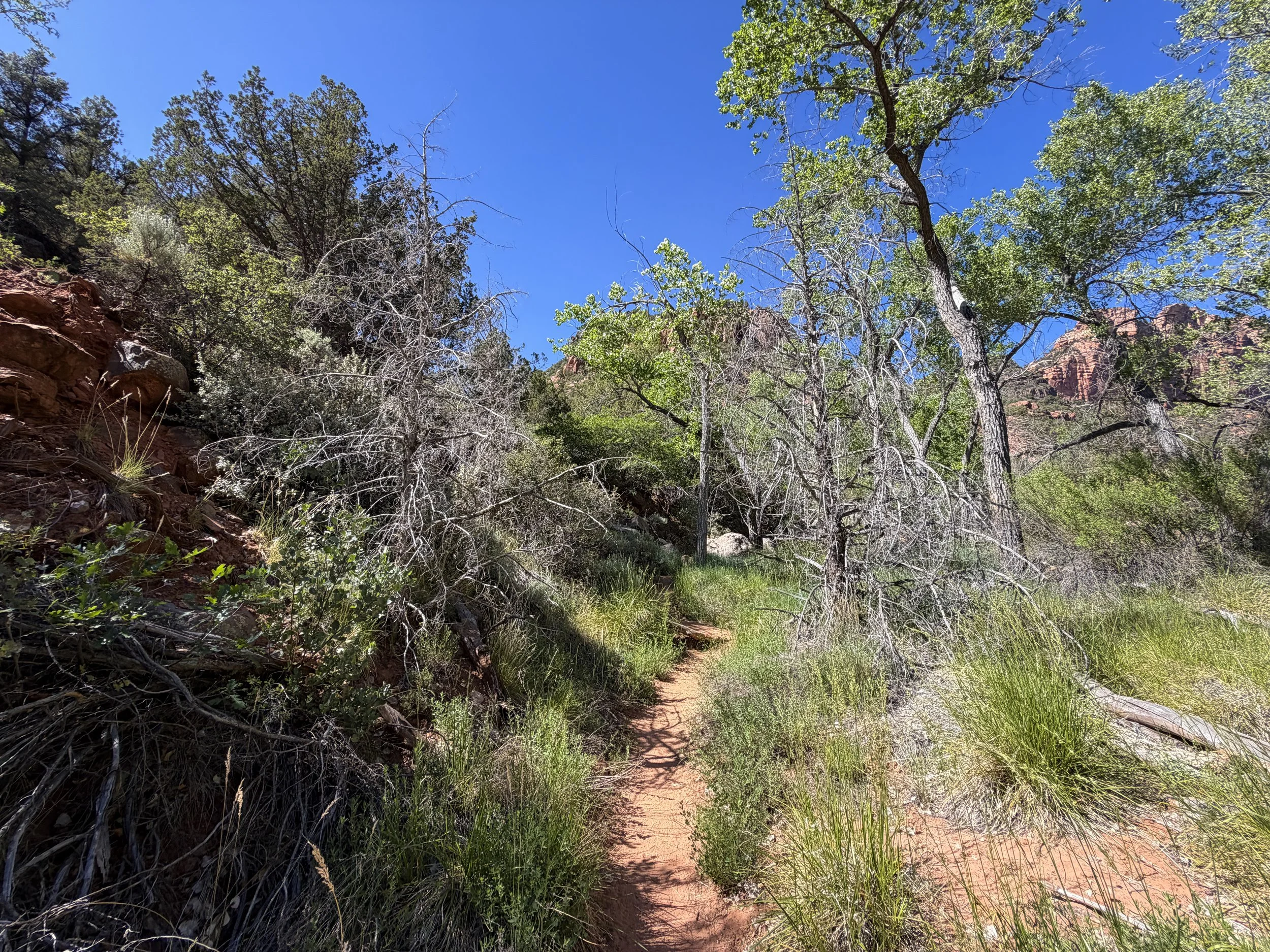 Subway Hike Bottom–Up Route Zion National Park Utah