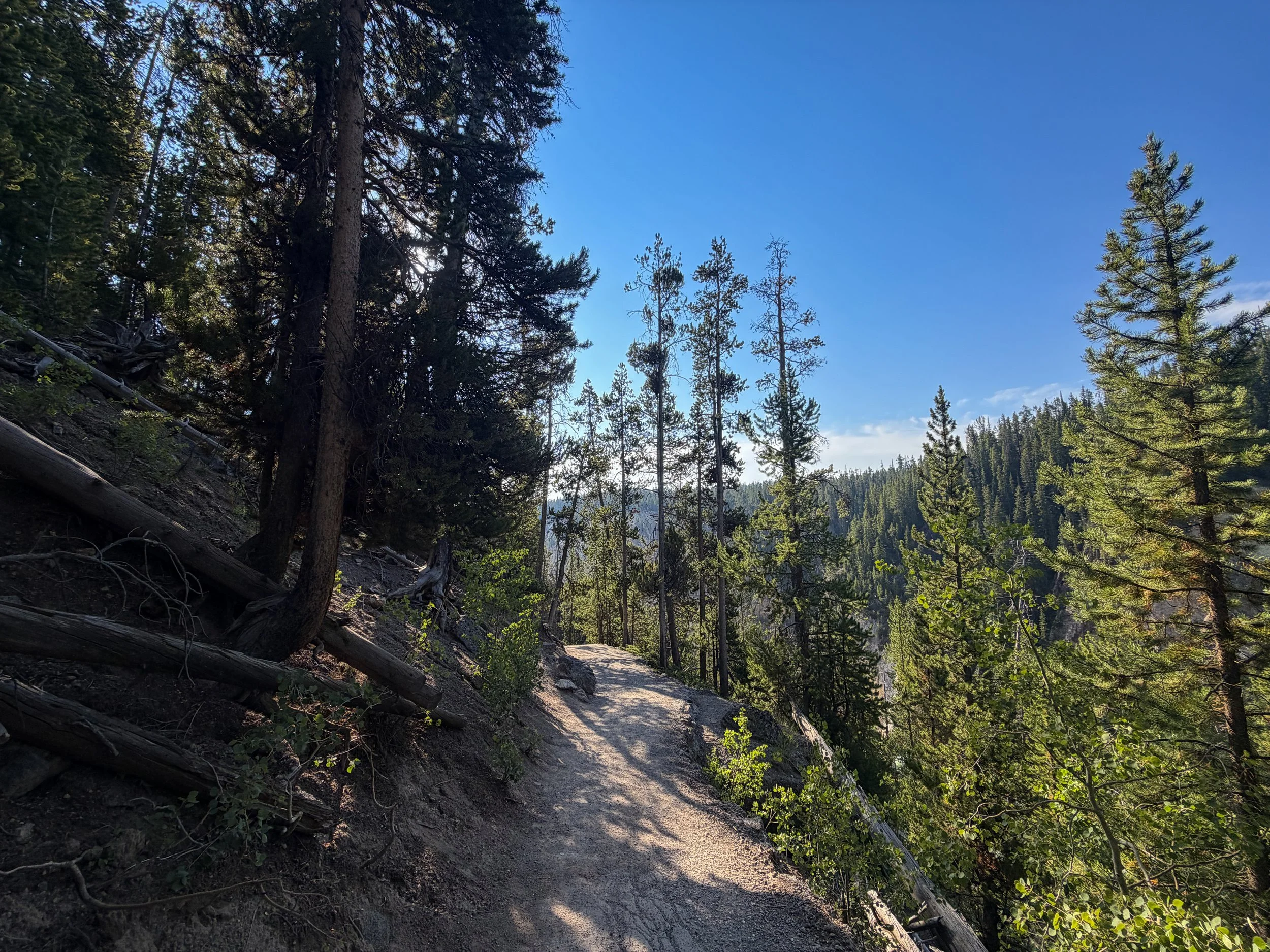 Brink of the Lower Falls Trail Yellowstone National Park Wyoming
