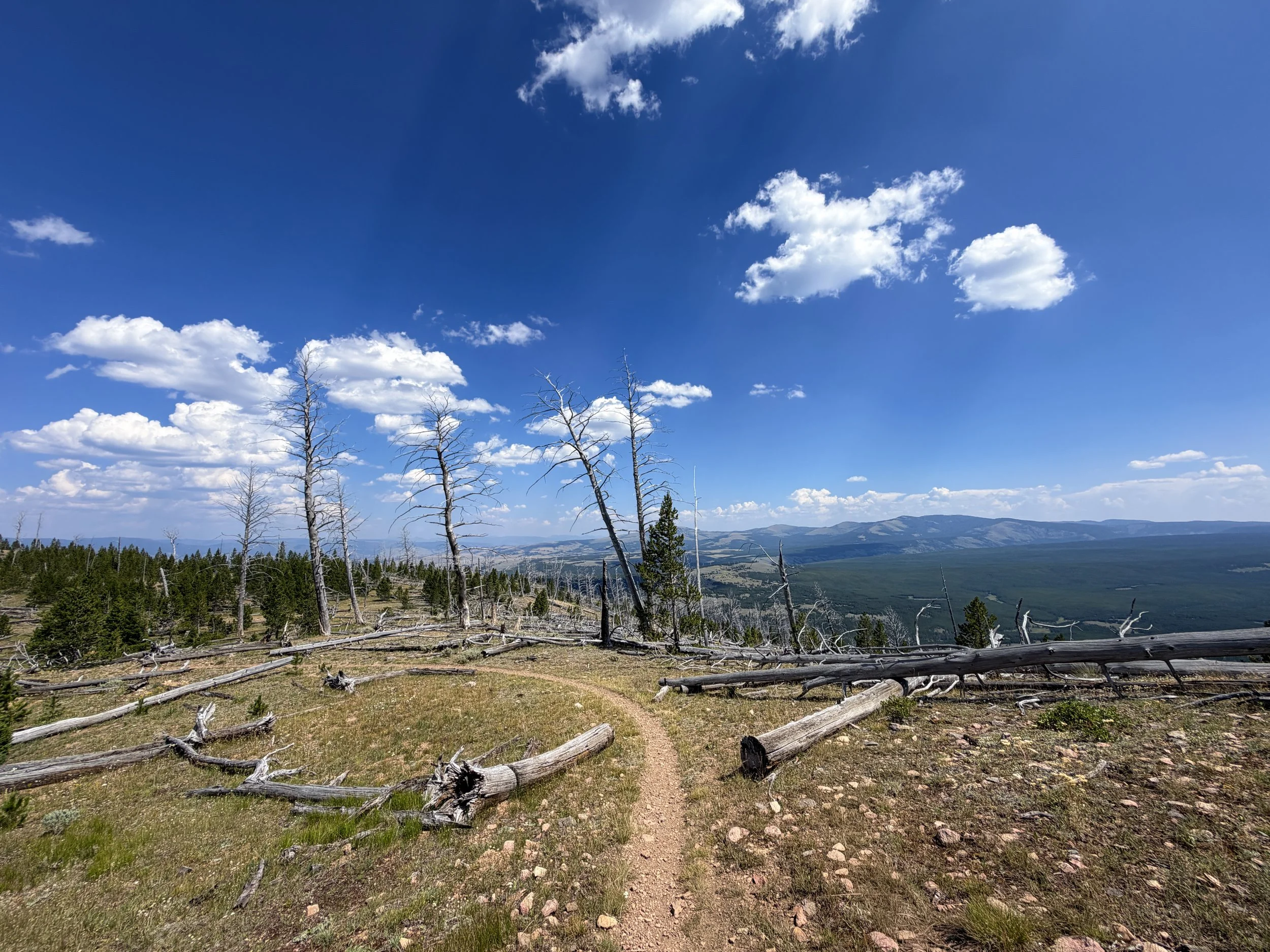 Bunsen Peak Trail to Osprey Falls Yellowstone National Park Wyoming