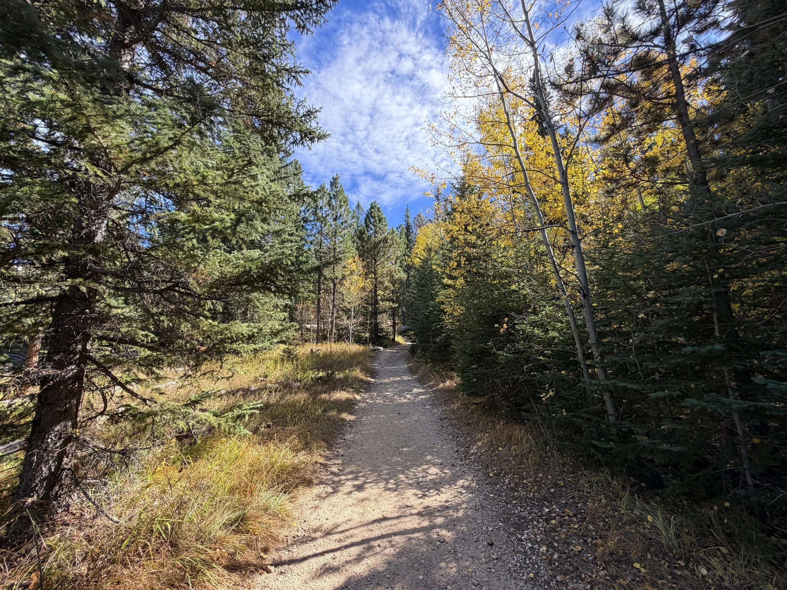 Black Elk Peak Hike Custer State Park Black Hills South Dakota