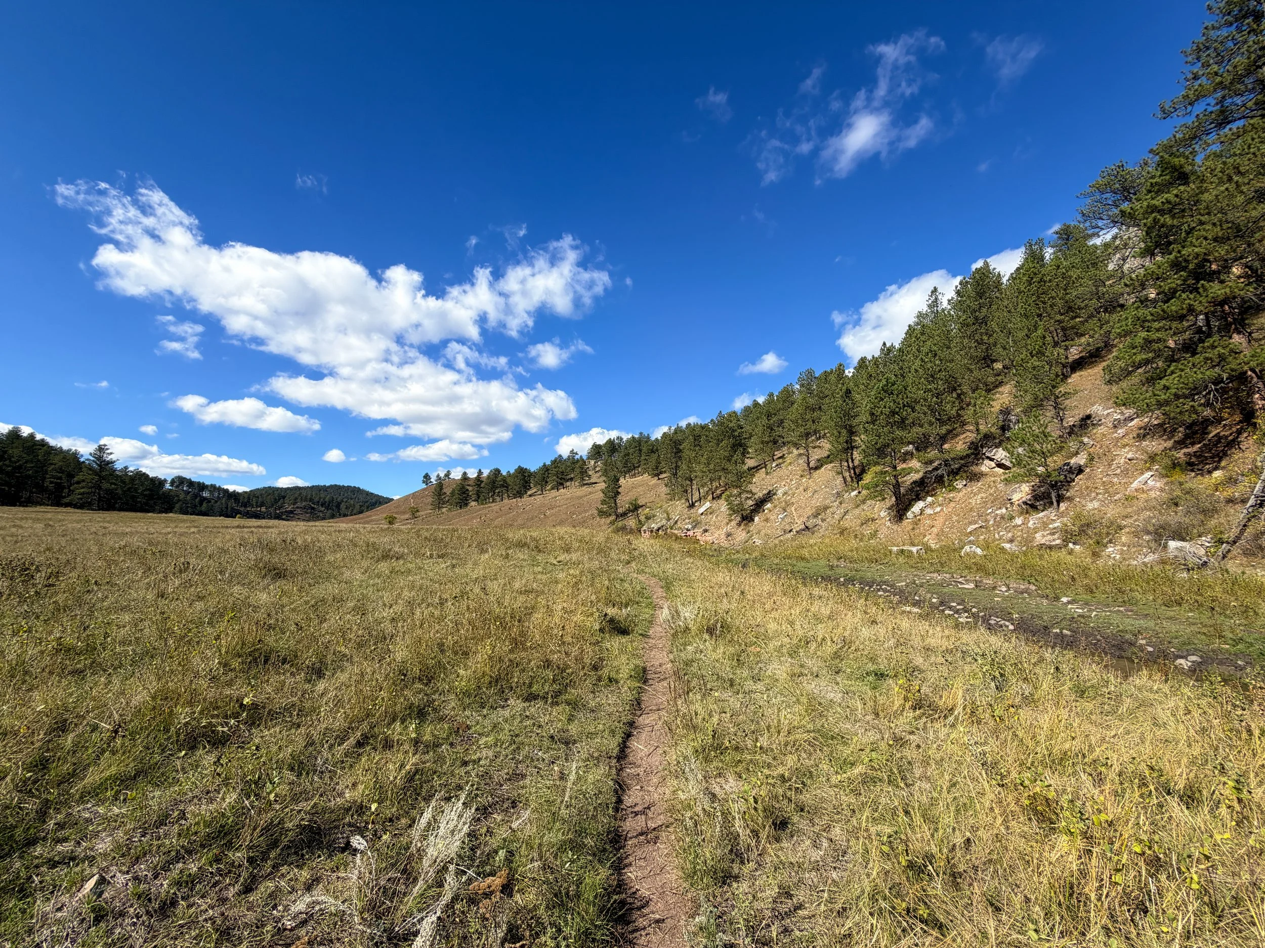 Lookout Point Loop Trail Wind Cave National Park South Dakota