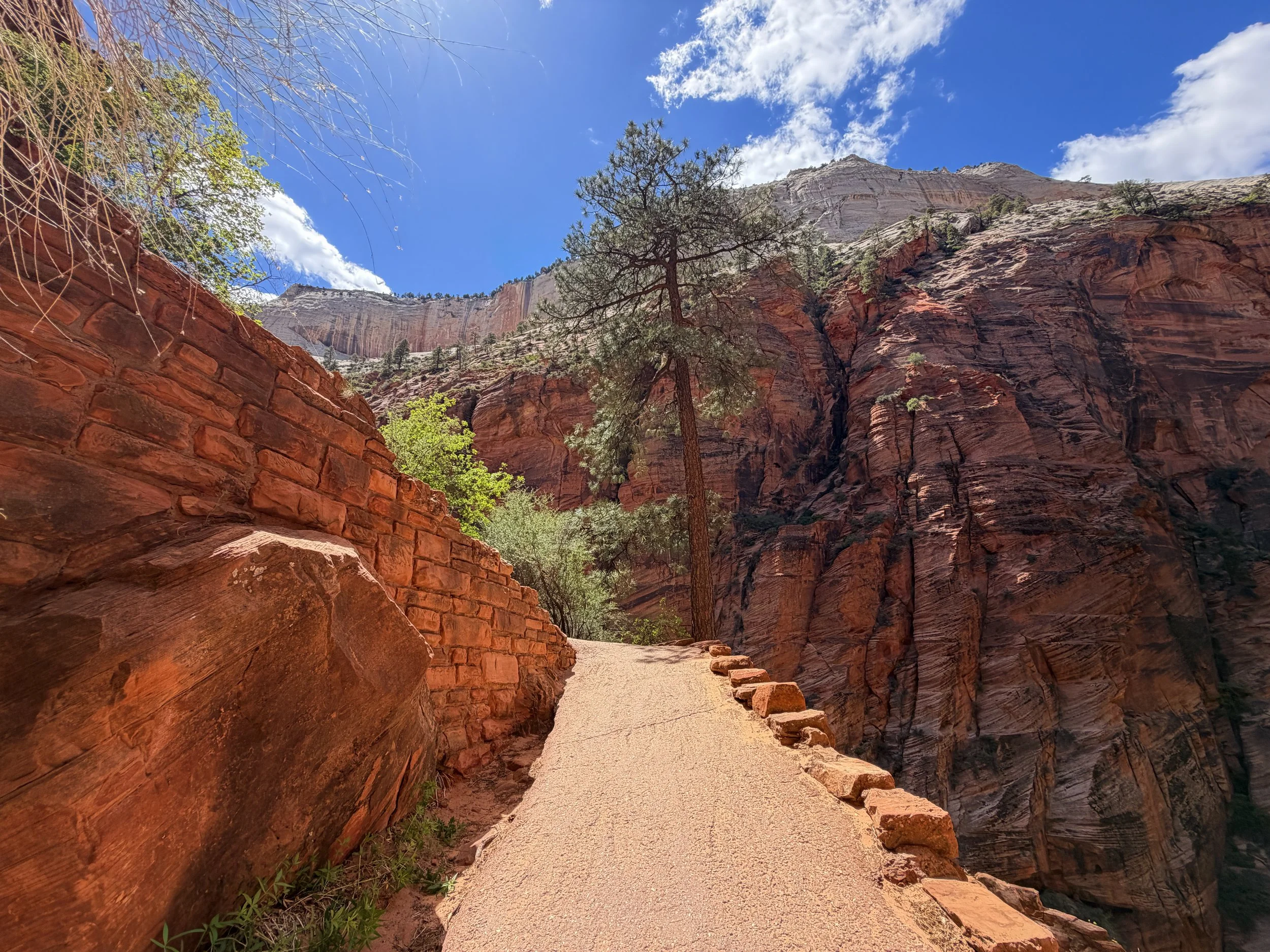 Angels Landing Trail Walters Wiggles Zion National Park Utah