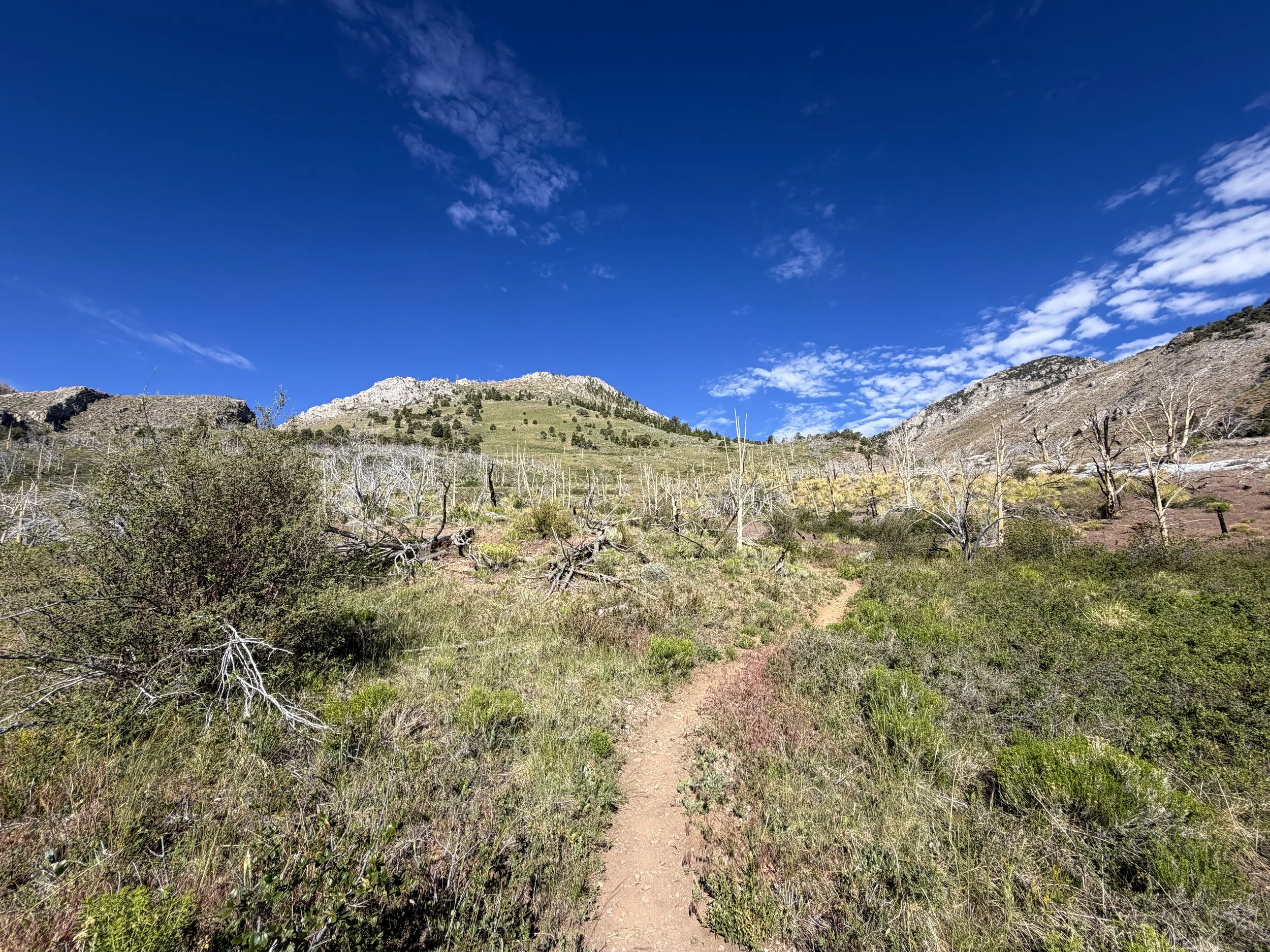Lexington Arch Trail Great Basin National Park Nevada