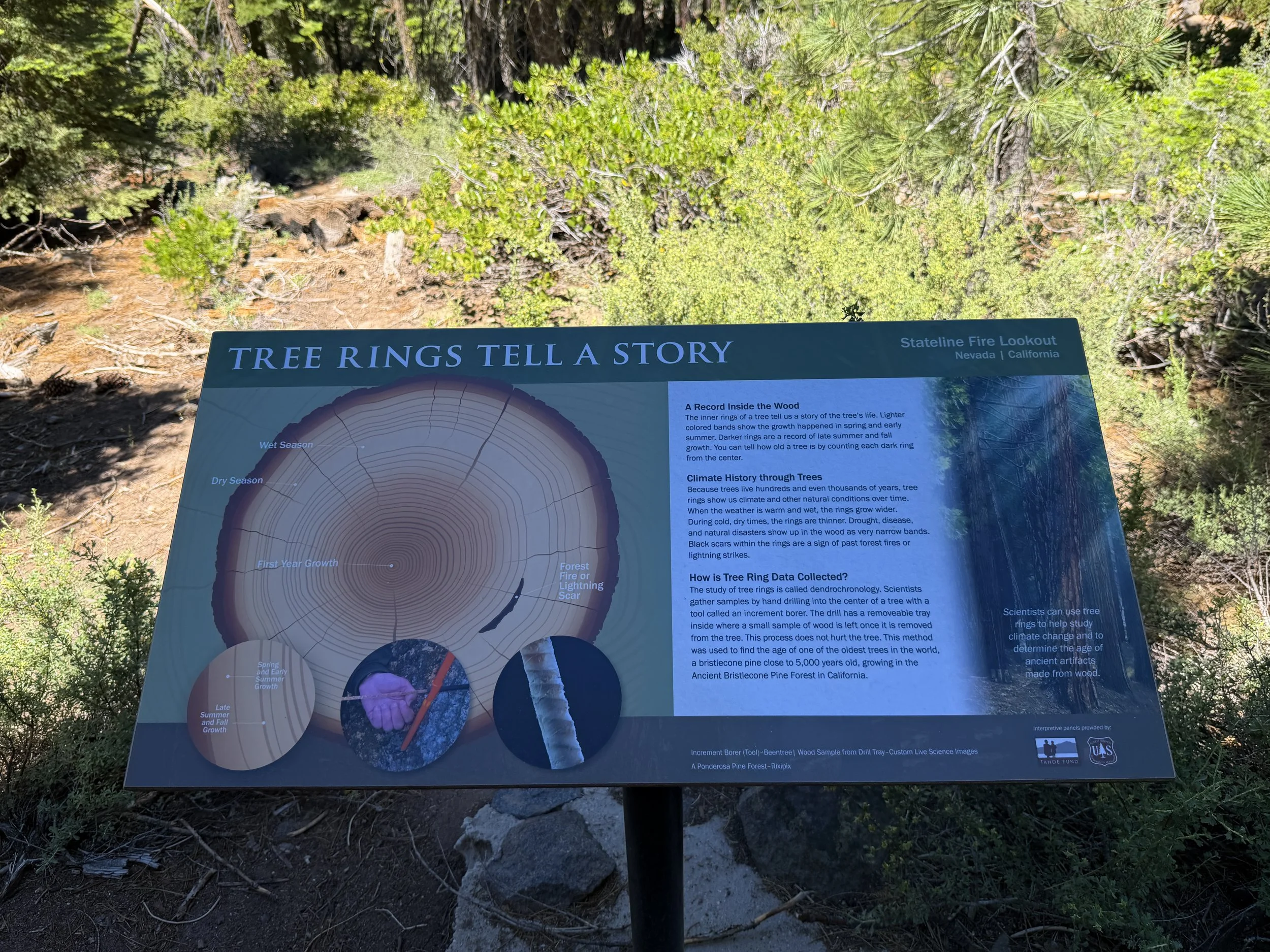 Stateline Fire Lookout Trail Lake Tahoe California