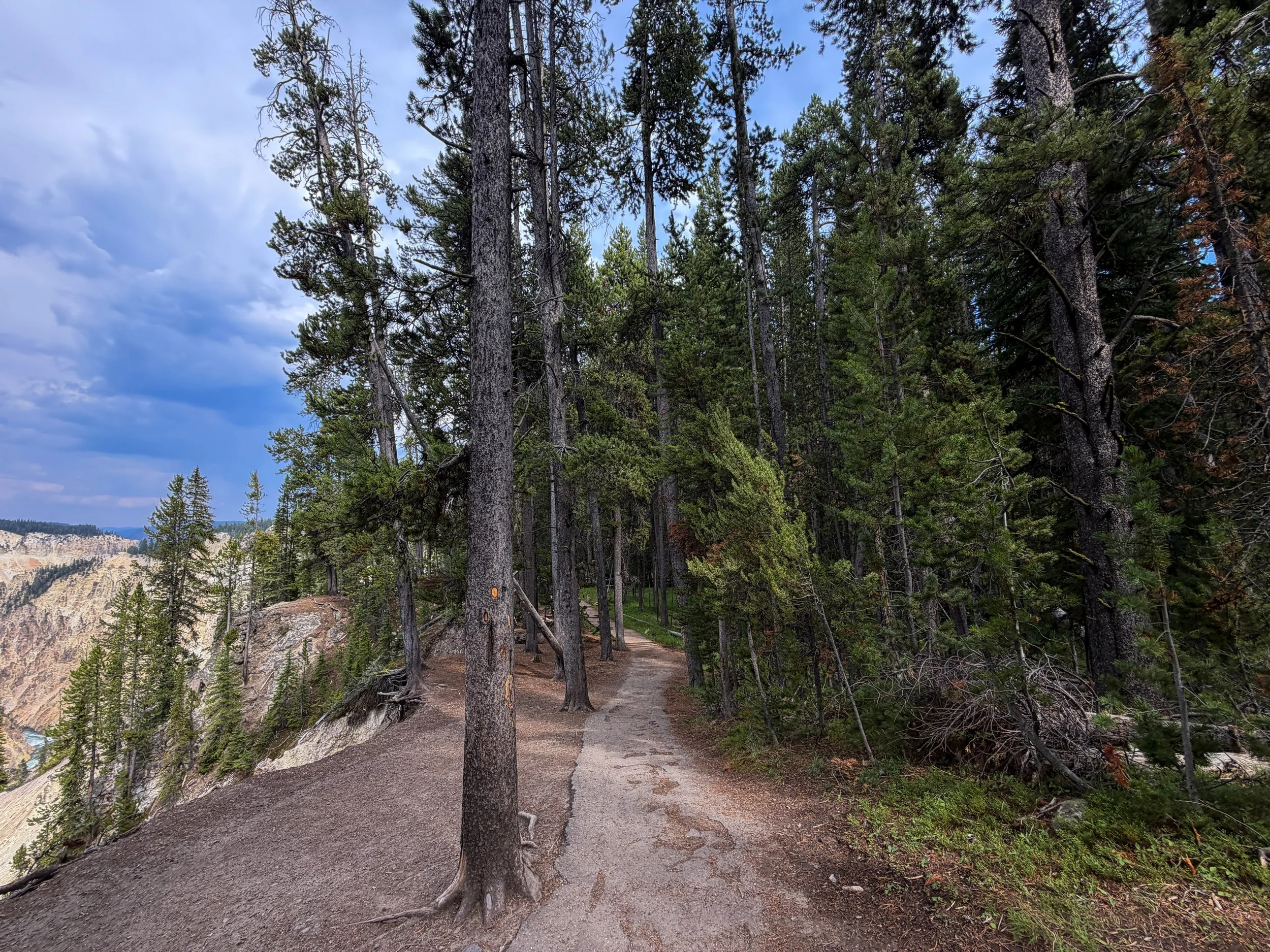 South Rim Trail Yellowstone National Park Wyoming