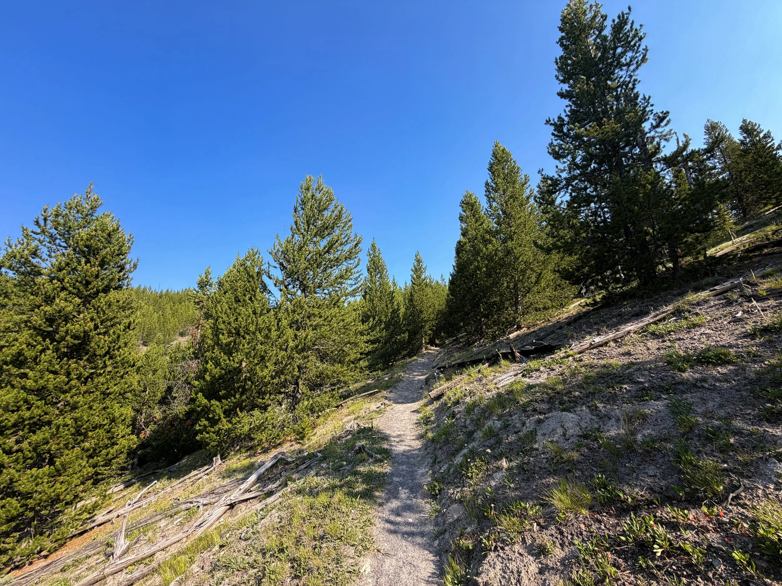 Mystic Falls Trail Yellowstone National Park Wyoming