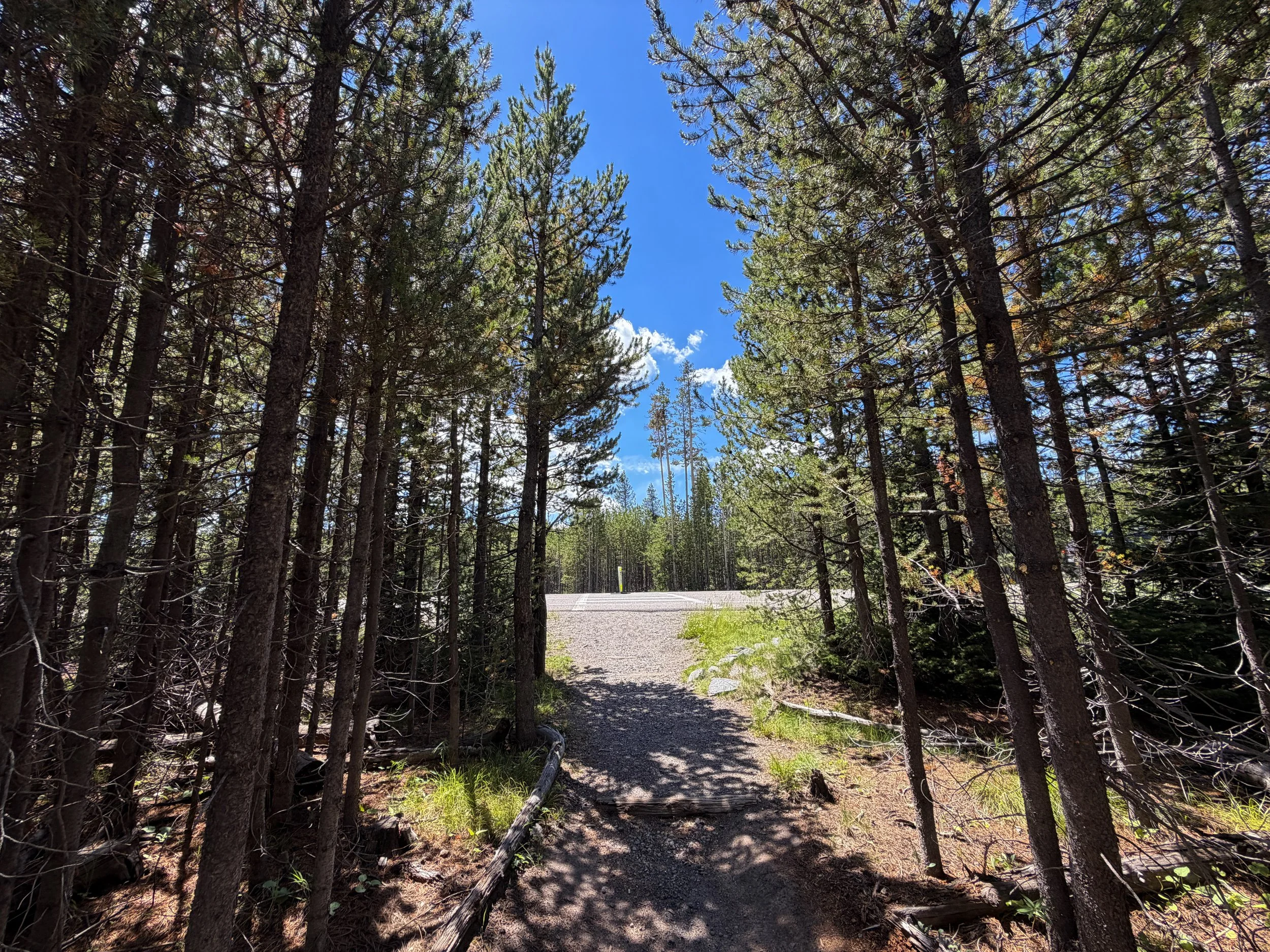 Yellowstone Lake Overlook Trail Yellowstone National Park Wyoming