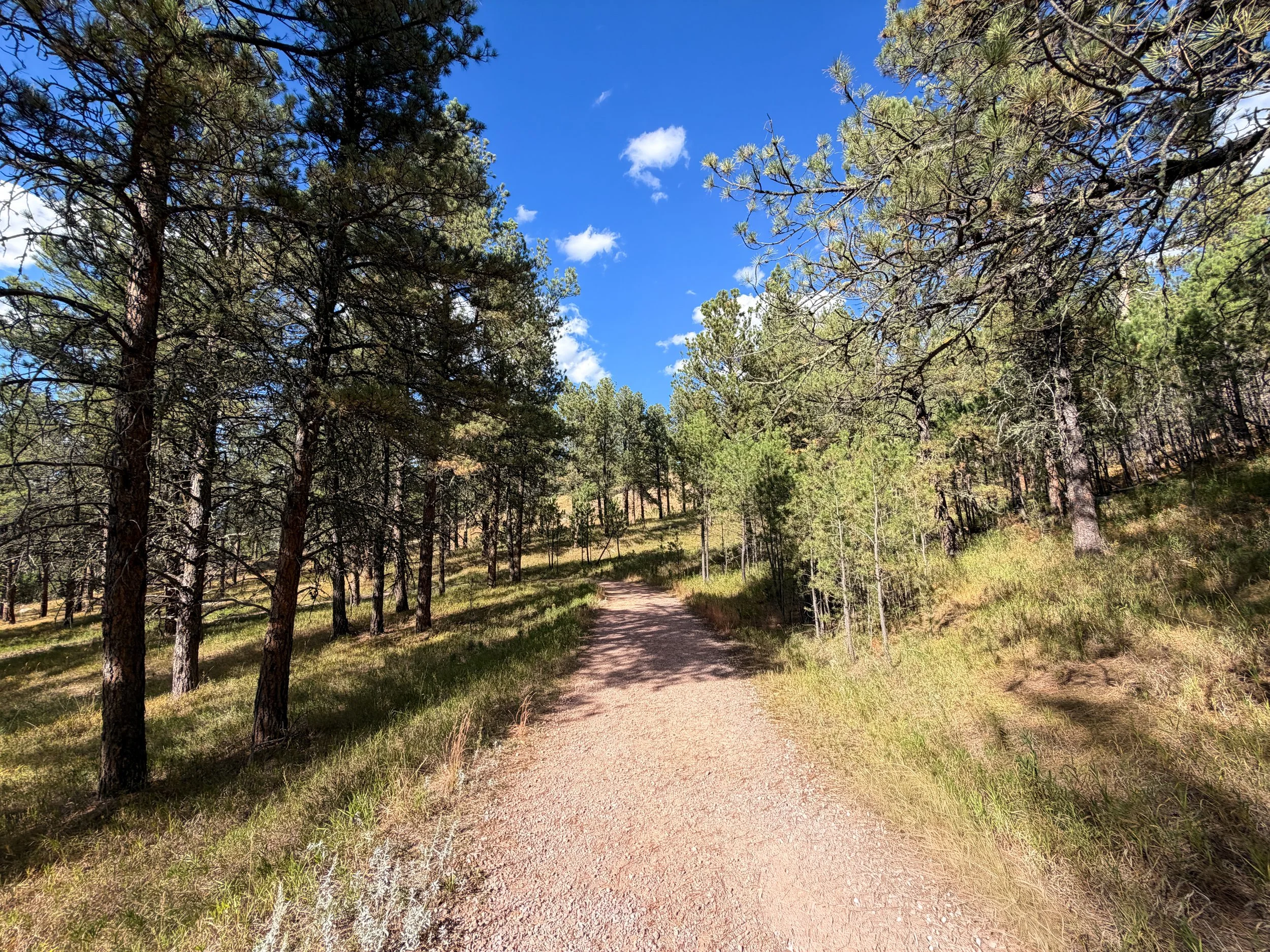 Rankin Ridge Trail Wind Cave National Park South Dakota